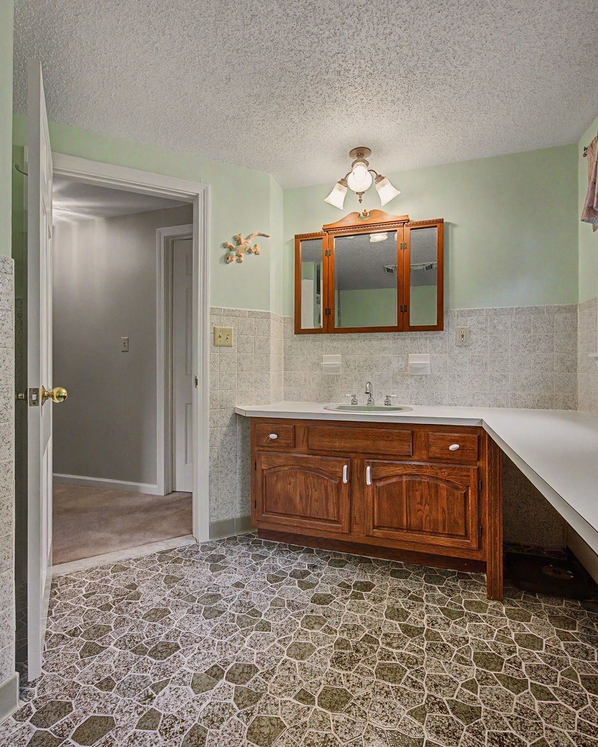 60 Main Road Property Photo 39