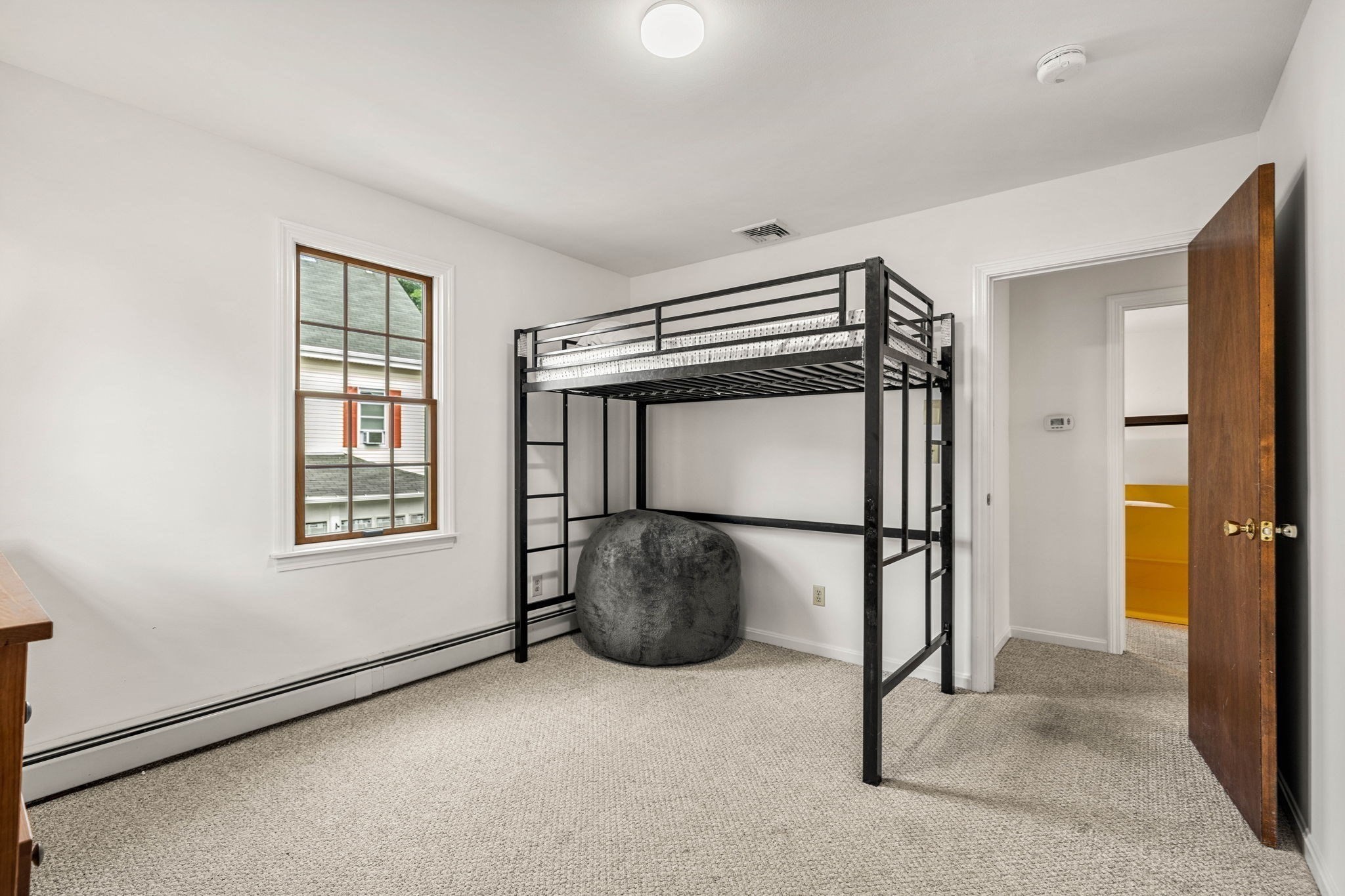 21 Chester St Property Photo 22
