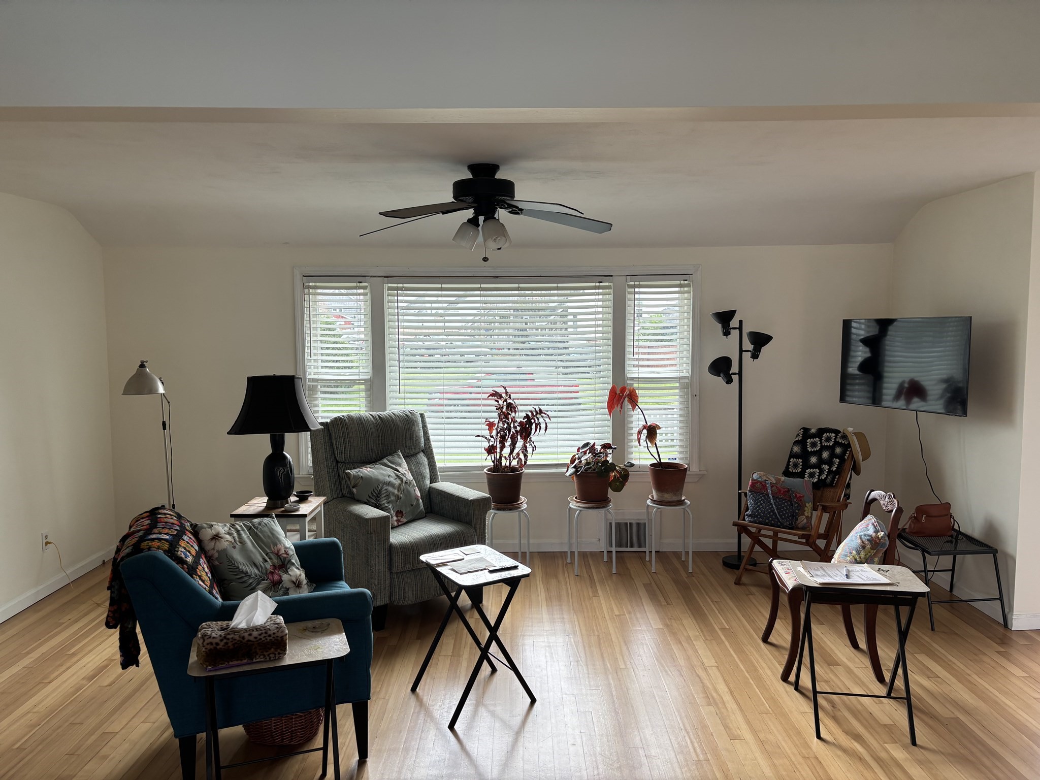16 Kaveney St Property Photo 16