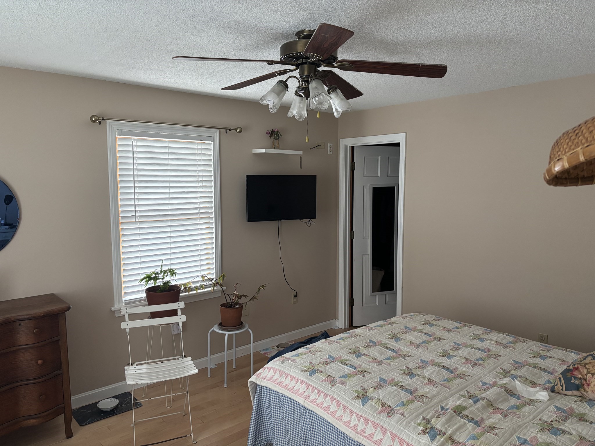 16 Kaveney St Property Photo 18
