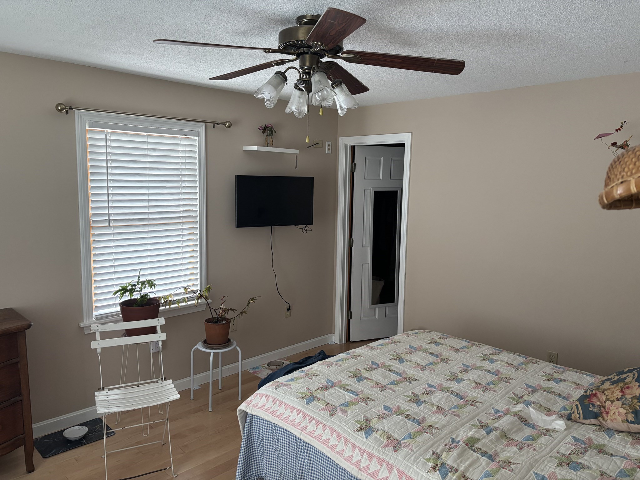 16 Kaveney St Property Photo 21