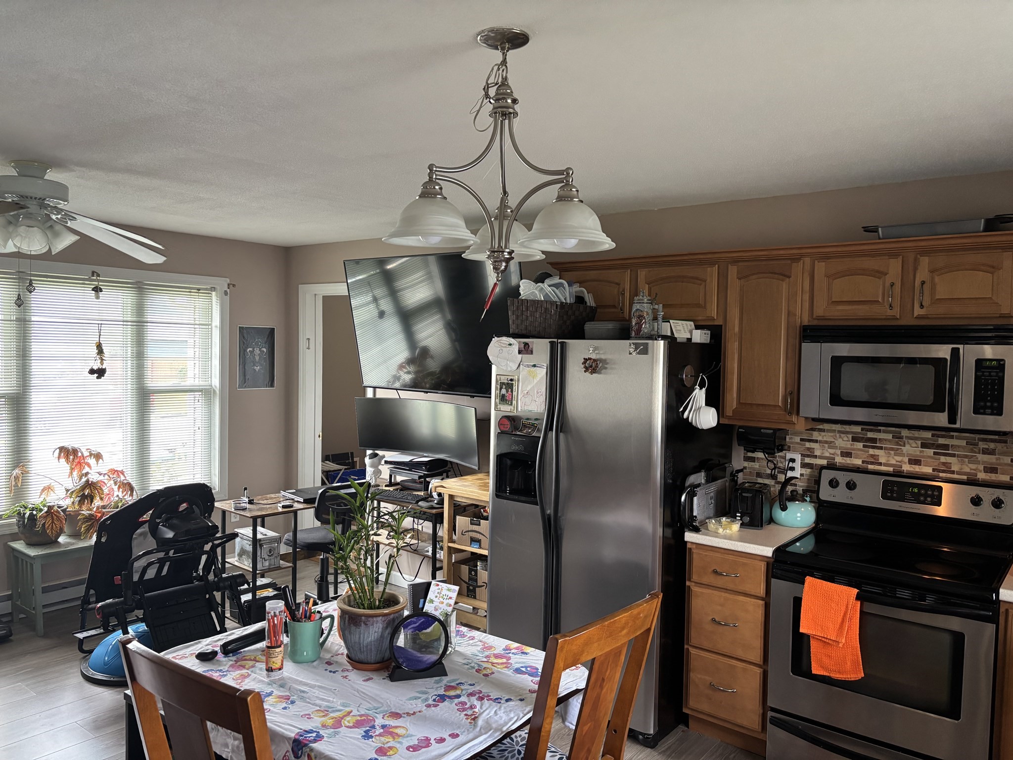 16 Kaveney St Property Photo 23
