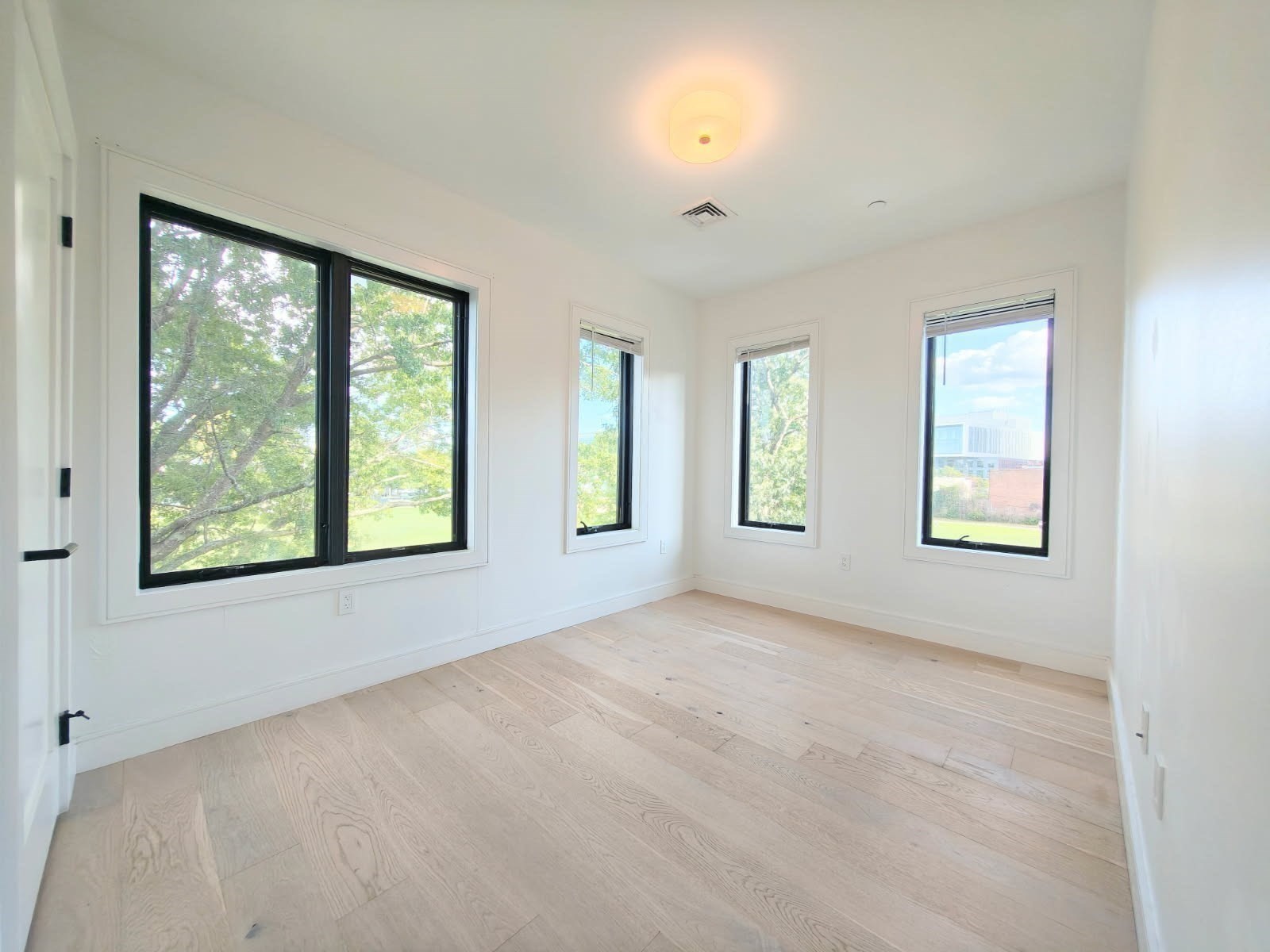 50 Leo M Birmingham # 310 Property Photo 15