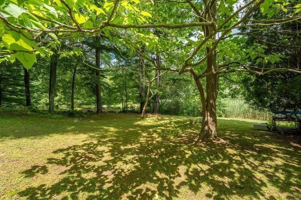 883 River Road Property Photo 5