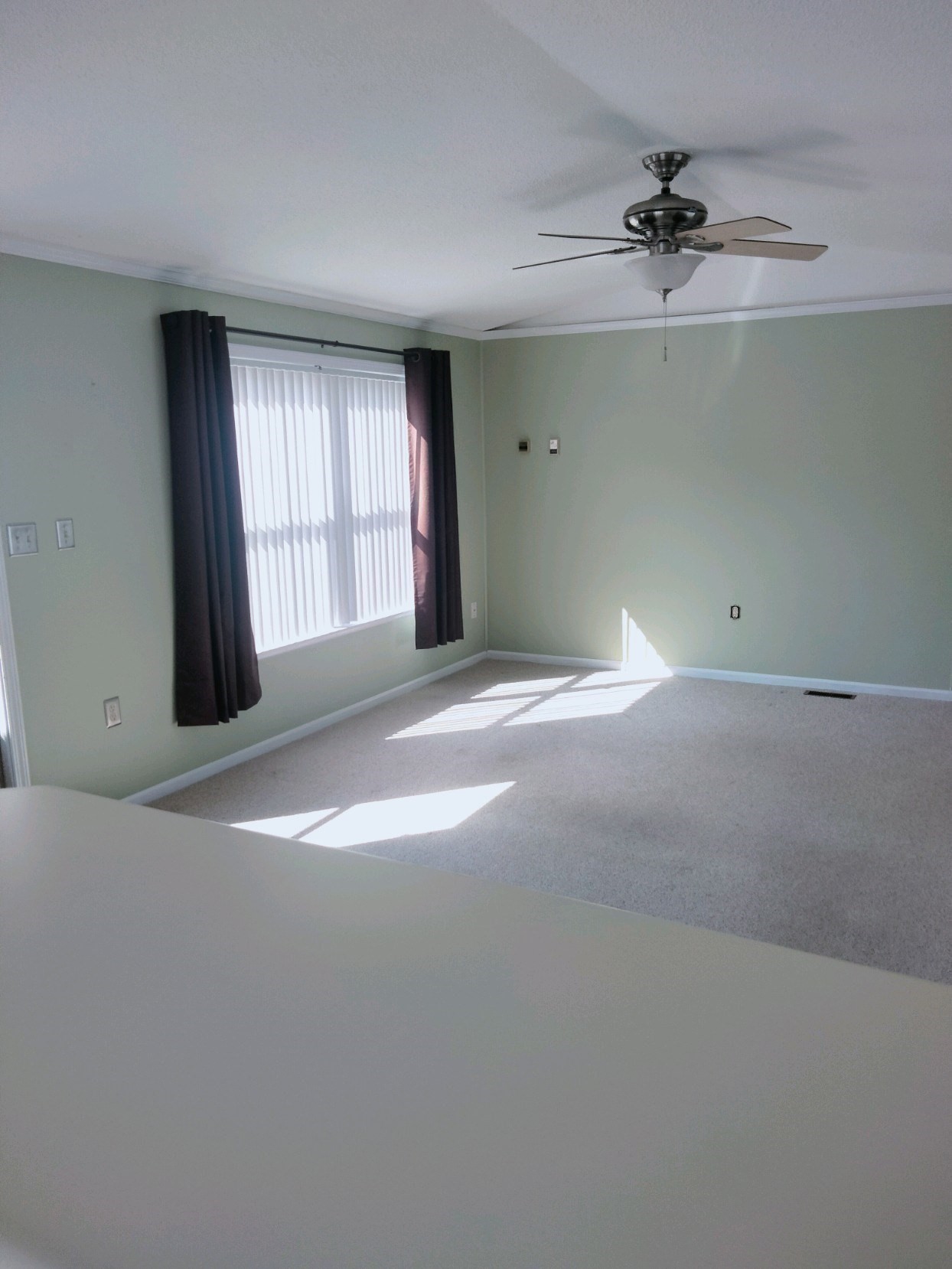16 Hemlock Street Property Photo 11