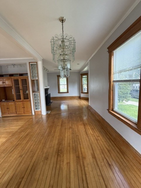 3 Franconia St Property Photo 1