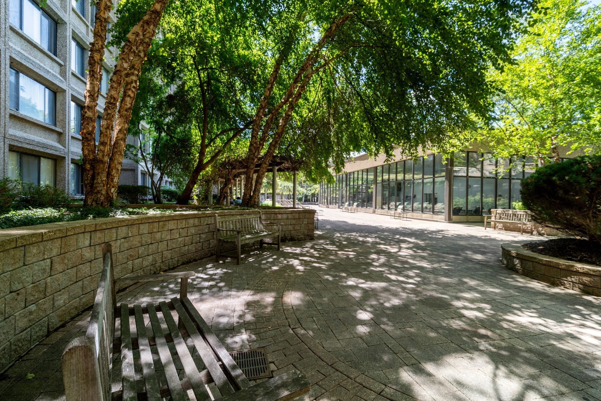 1731 Beacon Street # 402 Property Photo 23