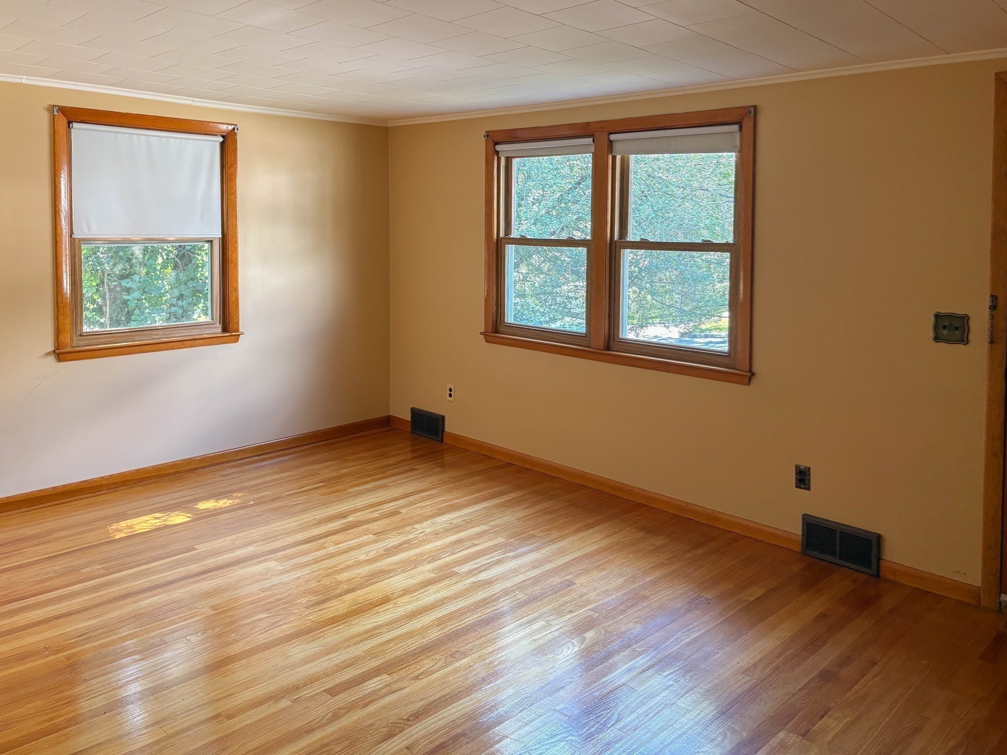 48 Home Street Property Photo 3