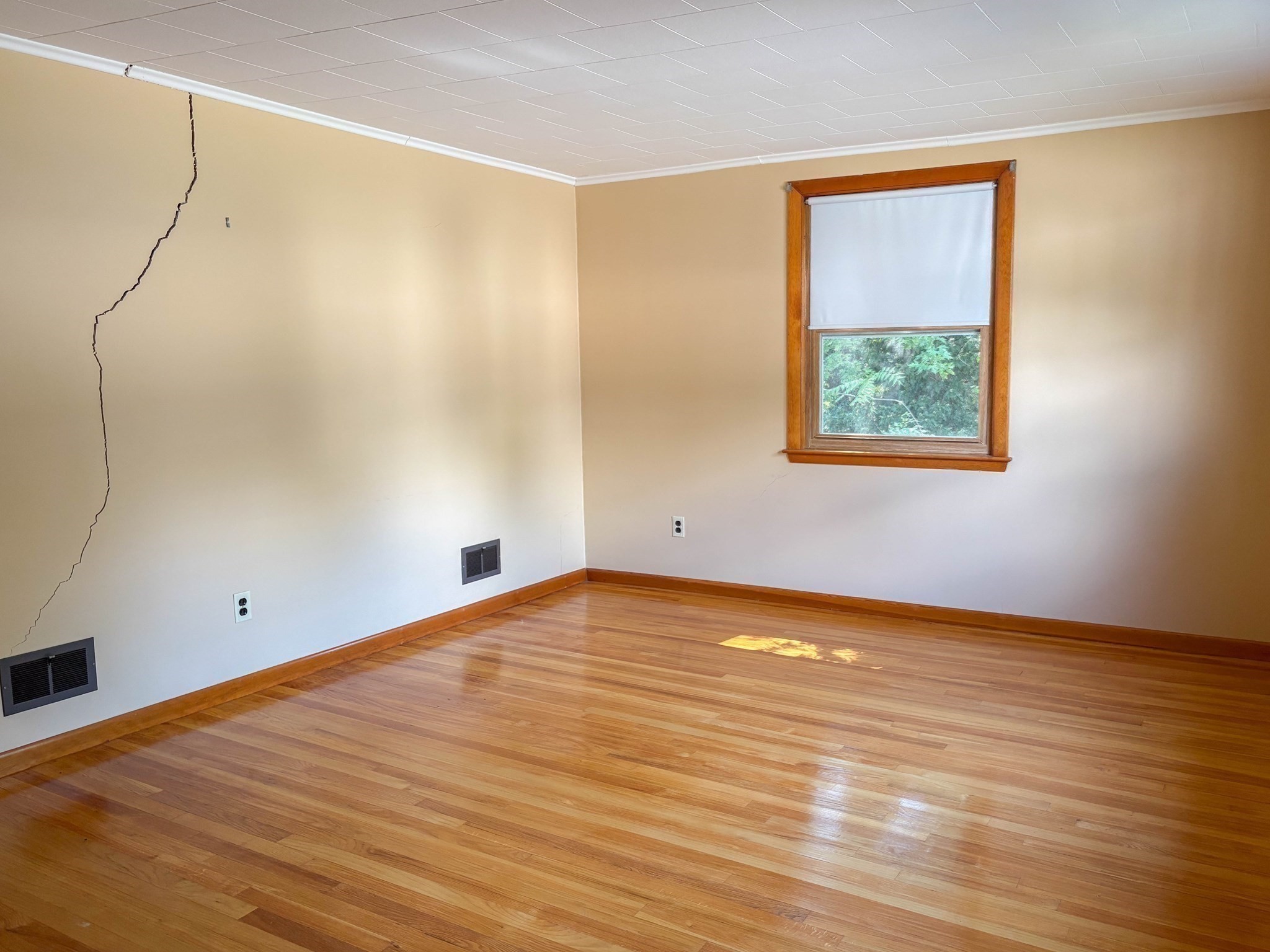 48 Home Street Property Photo 18