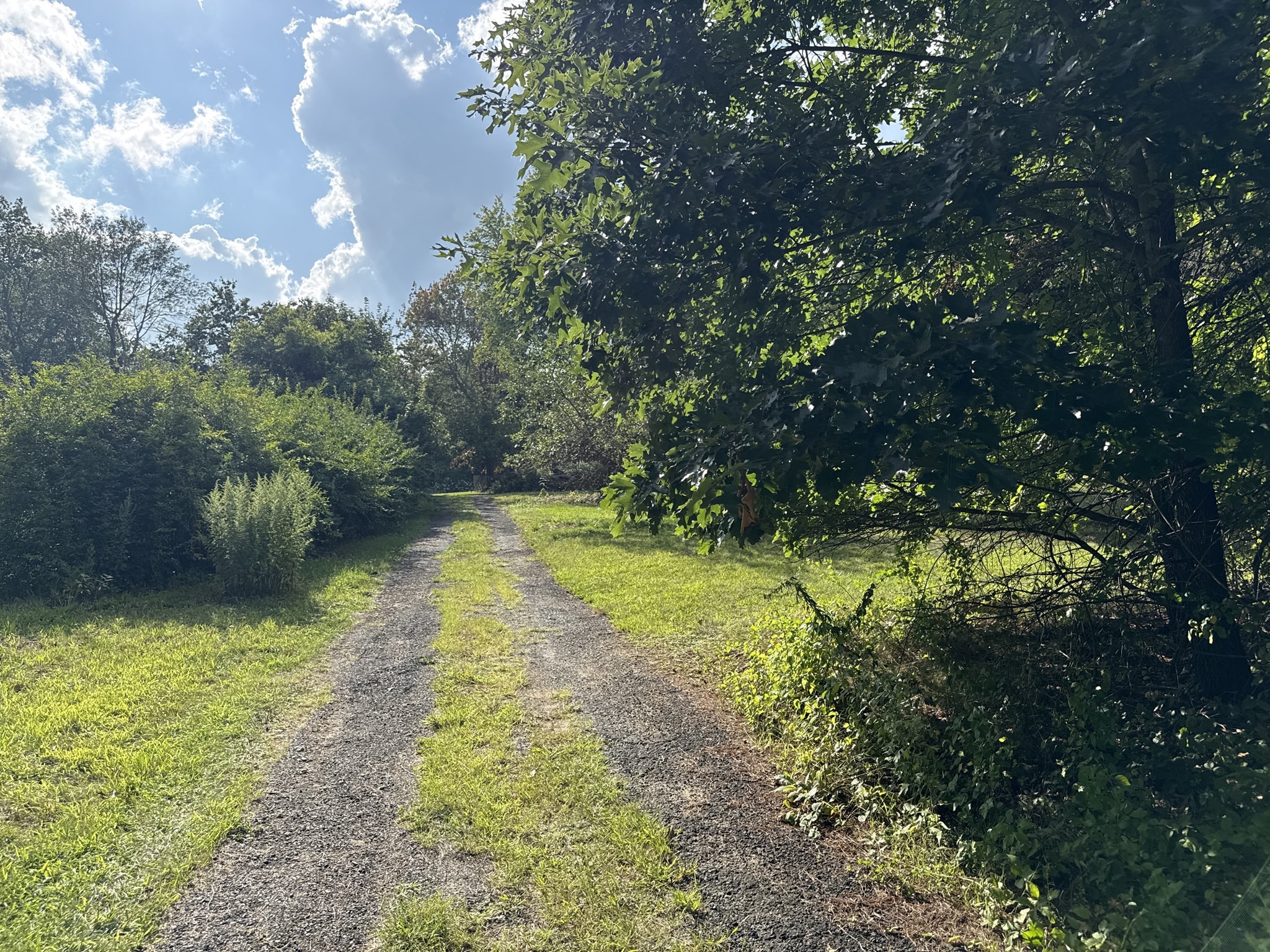 75 Dugan Rd Property Photo 8