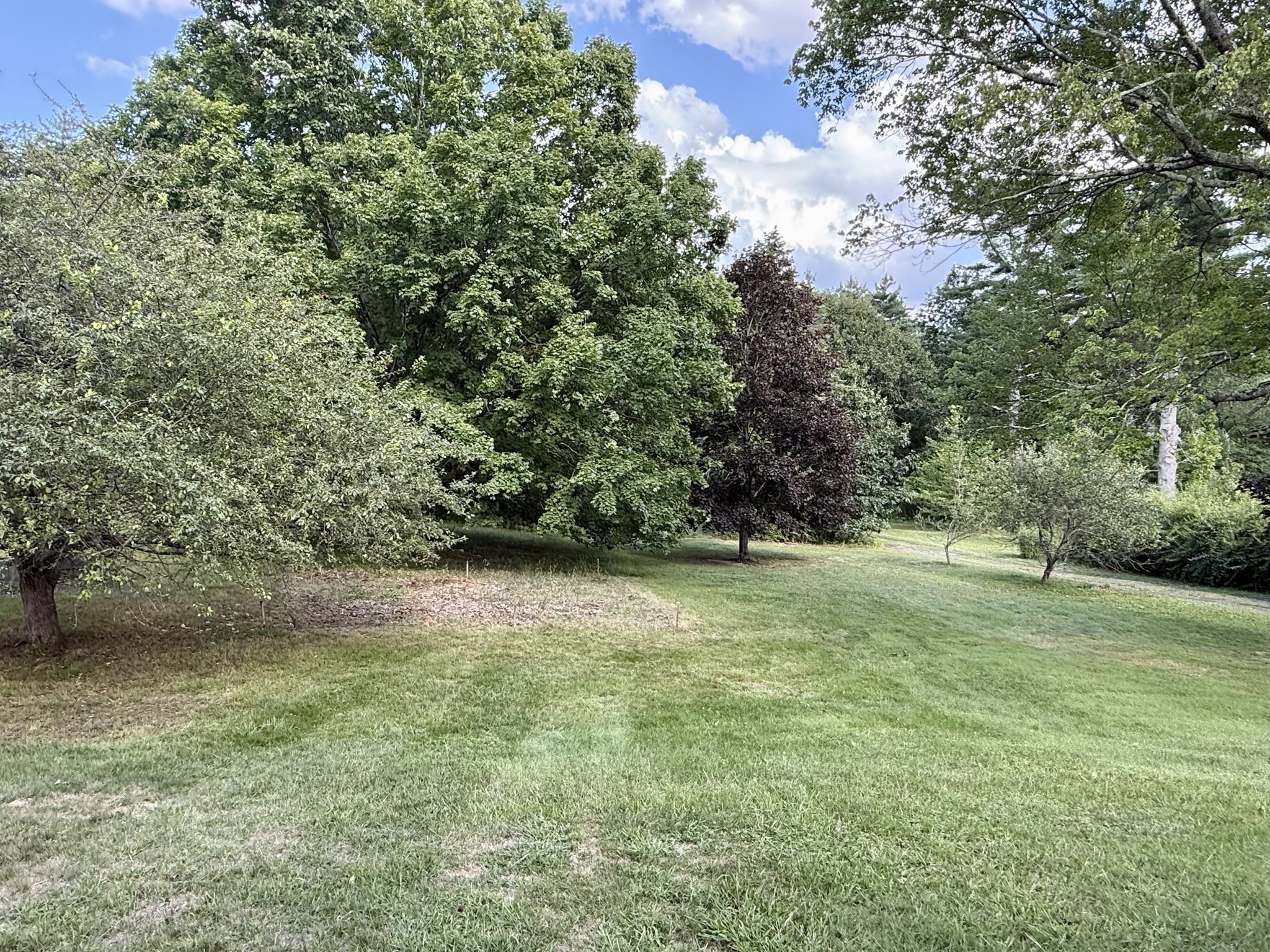 75 Dugan Rd Property Photo 10