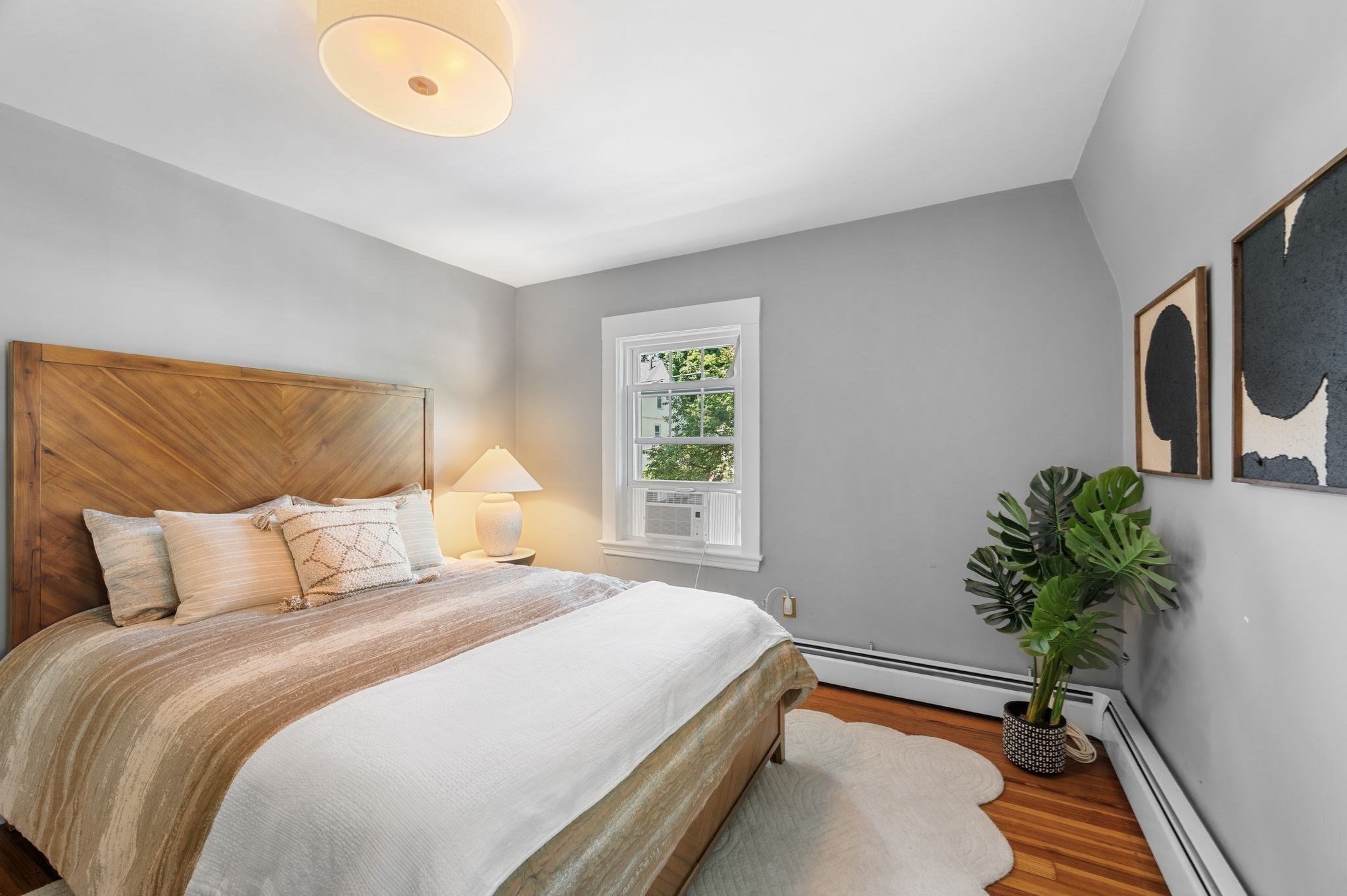 12 Gilbert Street Property Photo 19
