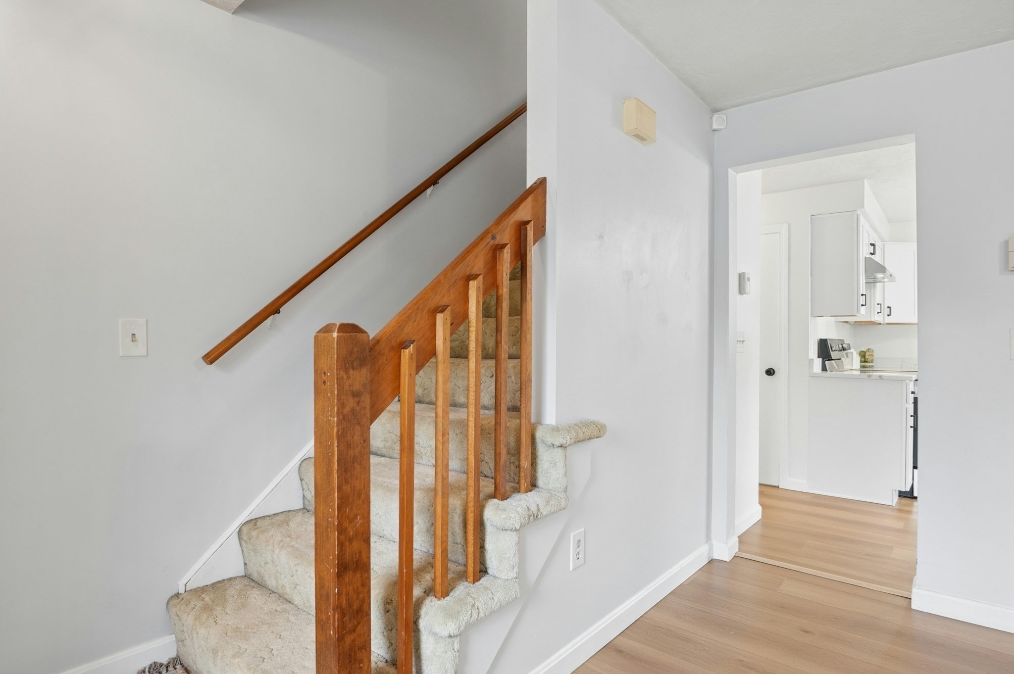 14 Phoenix St Property Photo 6