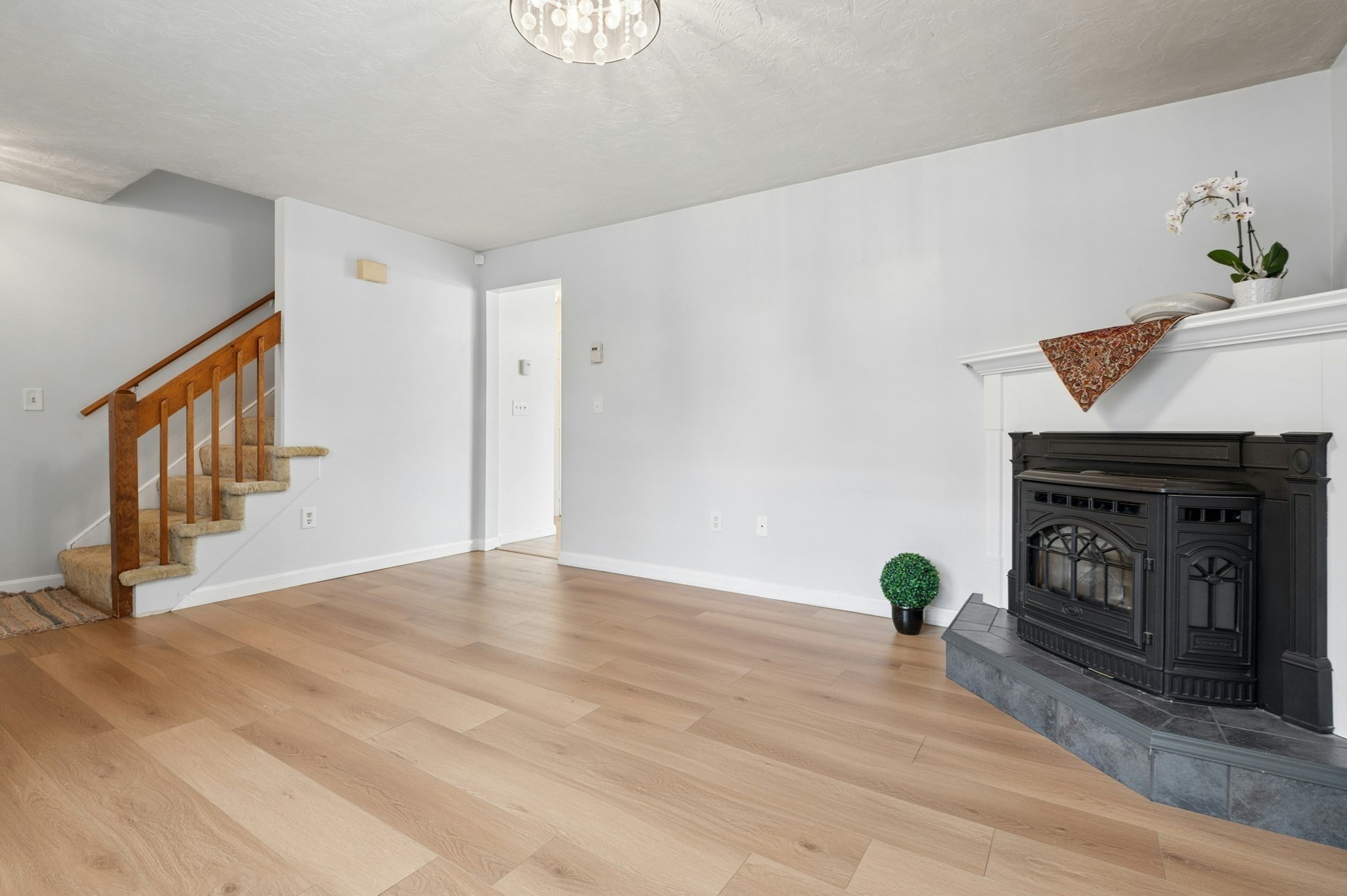 14 Phoenix St Property Photo 11