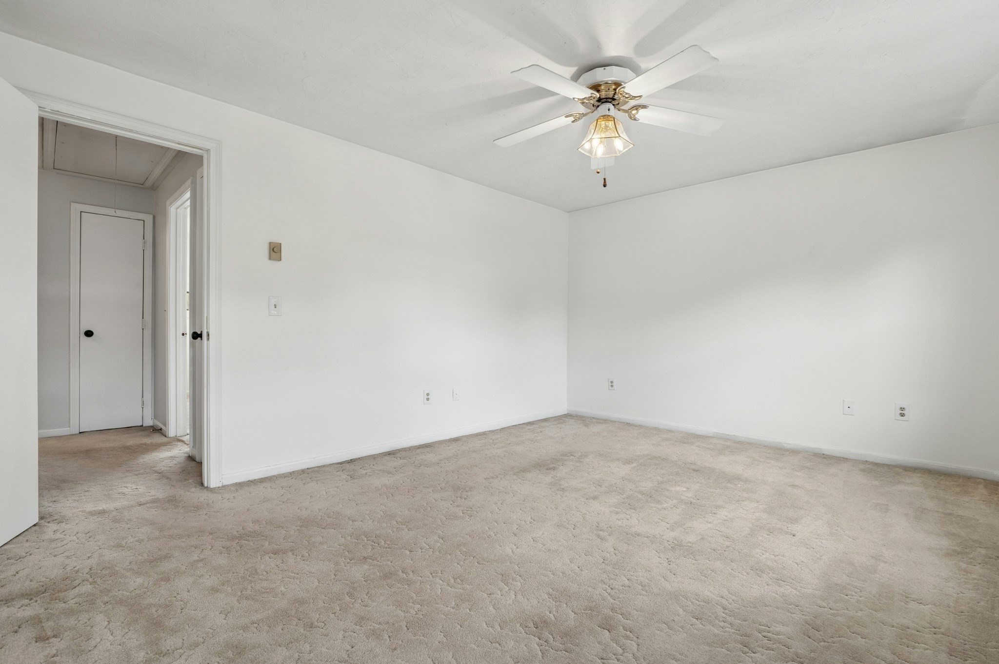 14 Phoenix St Property Photo 28