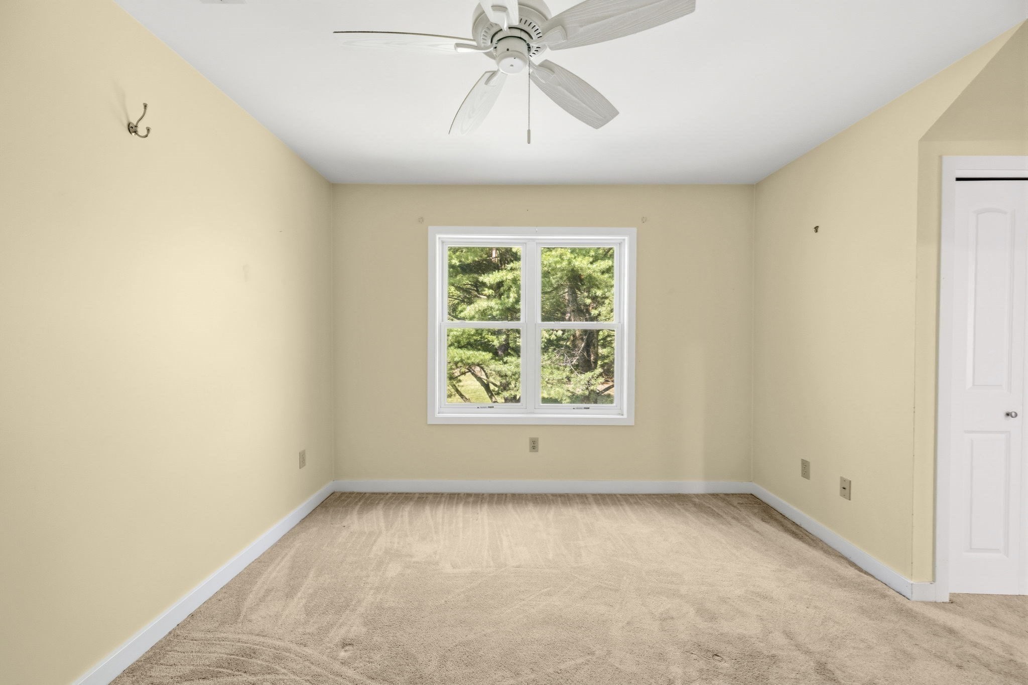 17 Walnut Court # 17 Property Photo 23