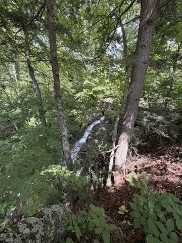 81 Route 8a Property Photo 8
