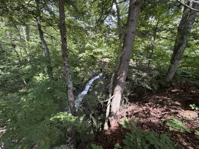 81 Route 8a Property Photo 9