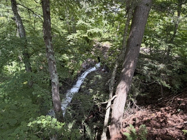 81 Route 8a Property Photo 10