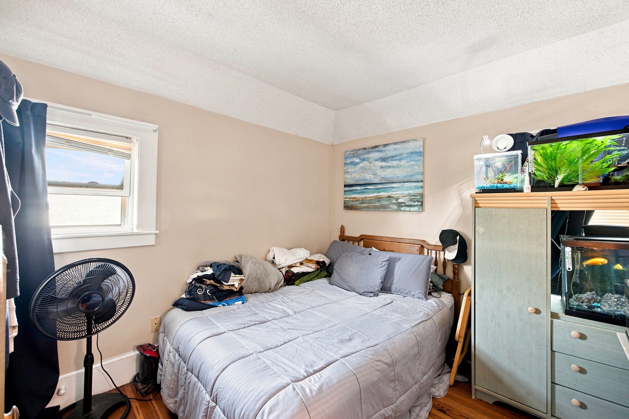 250-252 Winsor Street Property Photo 7