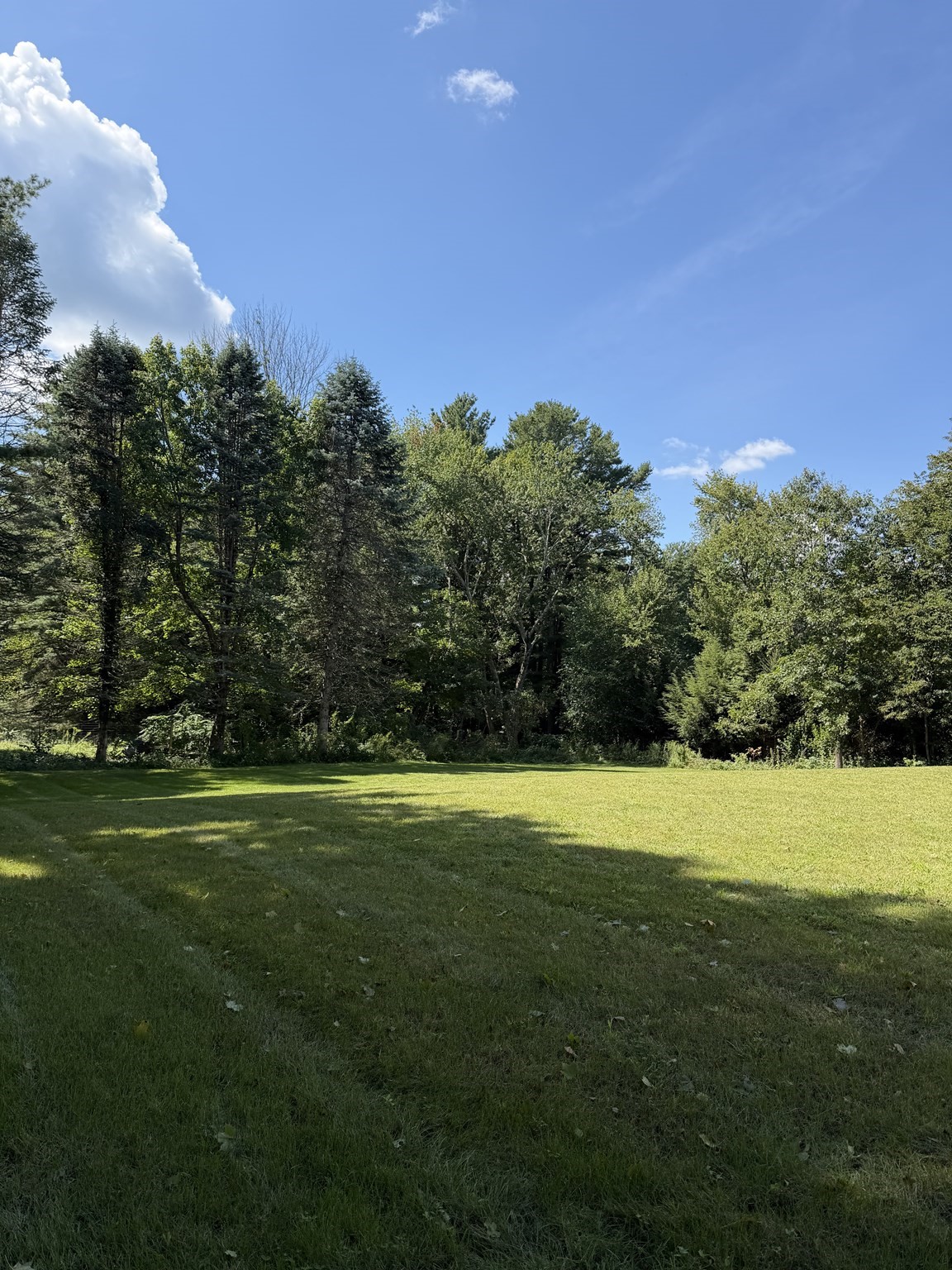 93 Walpole Street Property Photo 19