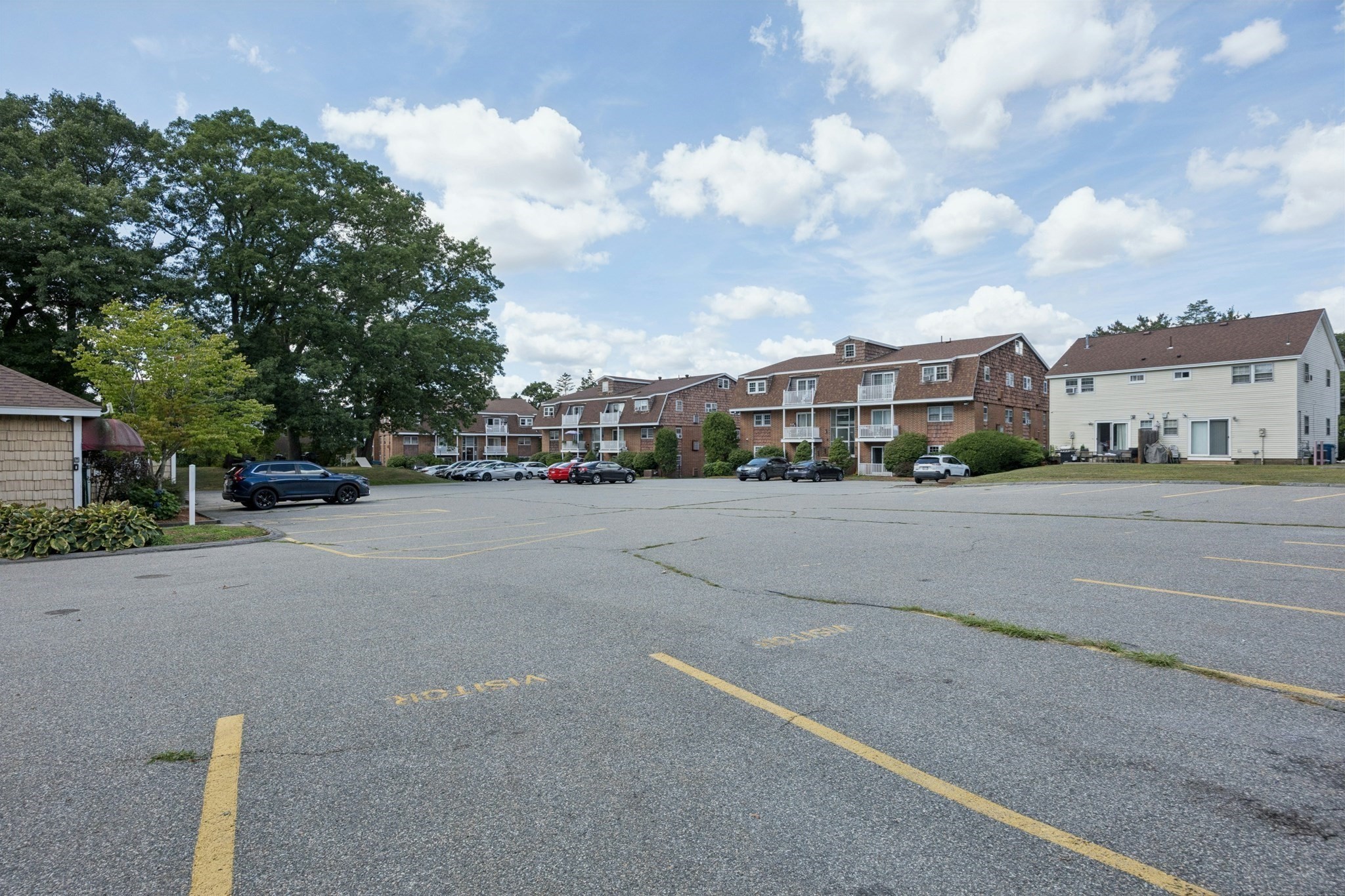 244 Mount Vernon St # 9 Property Photo 30
