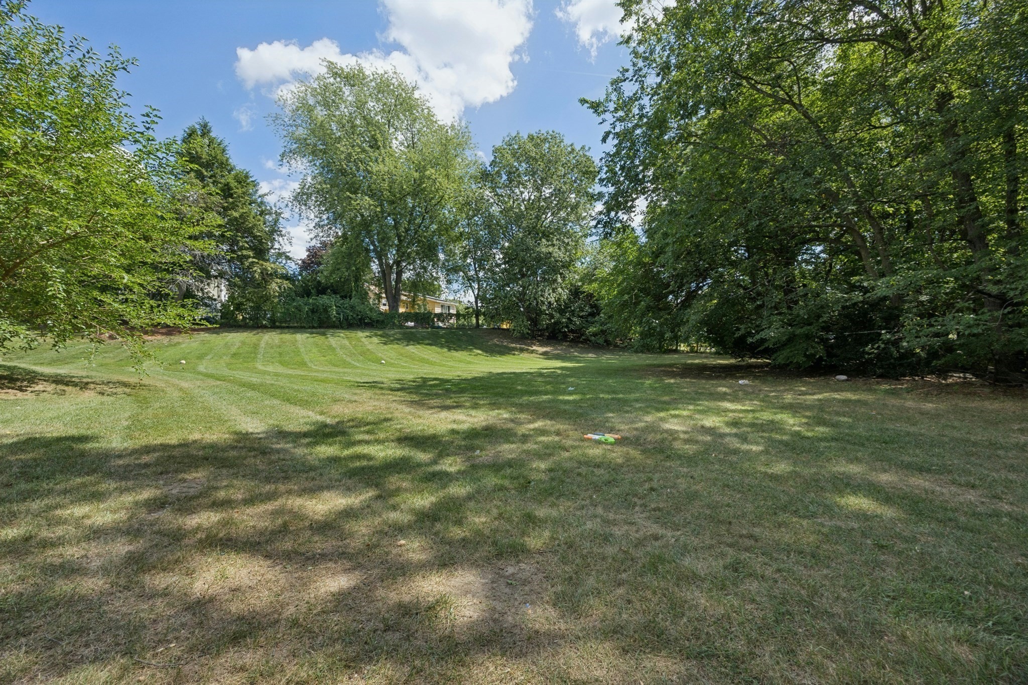 244 Mount Vernon St # 9 Property Photo 34