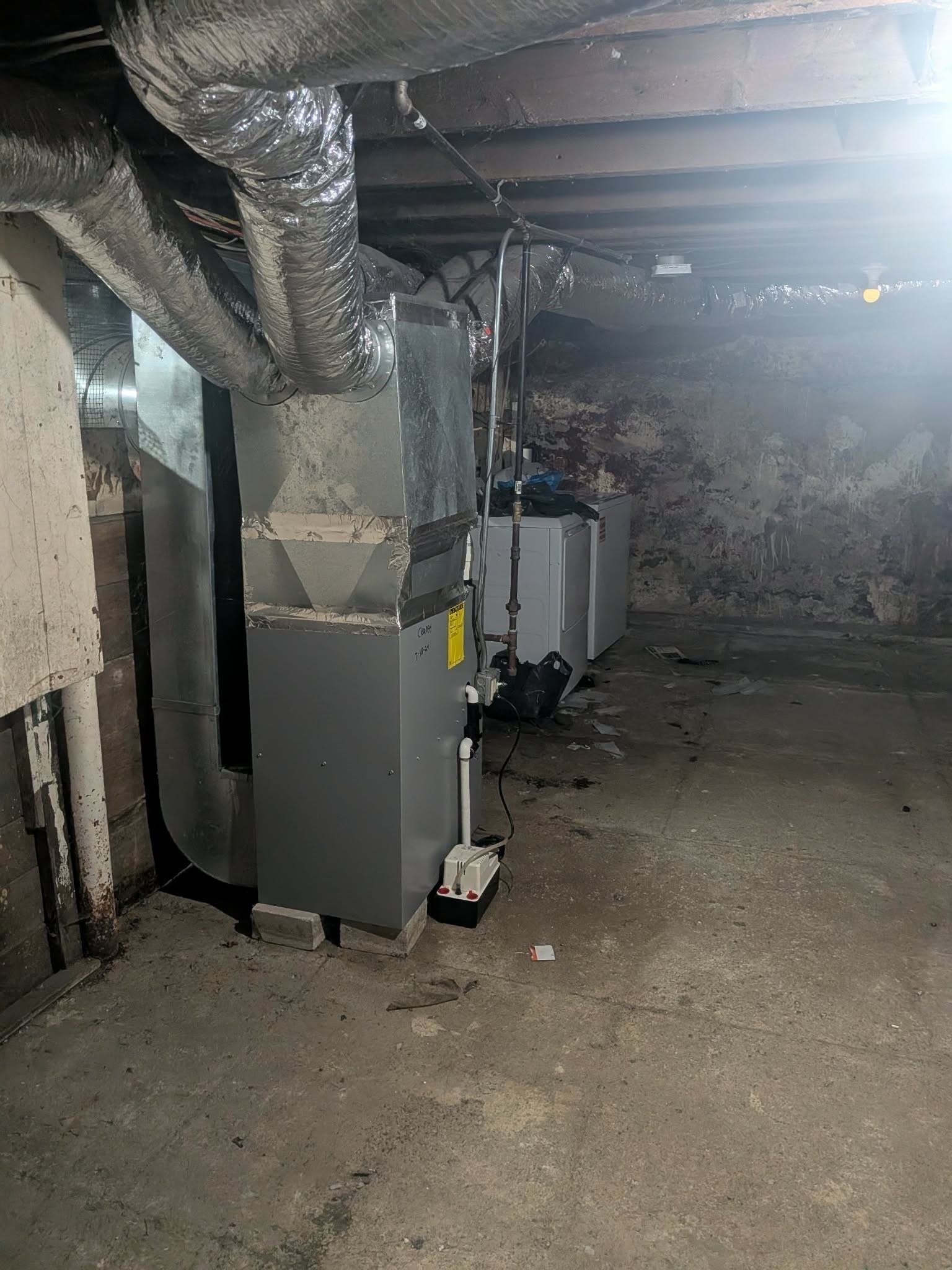 17 Ward St Property Photo 17