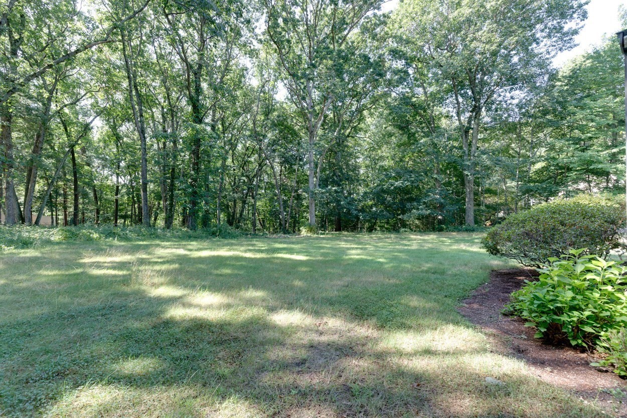 67 Porter Road Property Photo 6