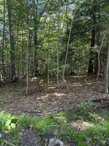 0 Laurel Lake Rd Property Photo 5