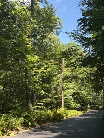 0 Laurel Lake Rd Property Photo 6