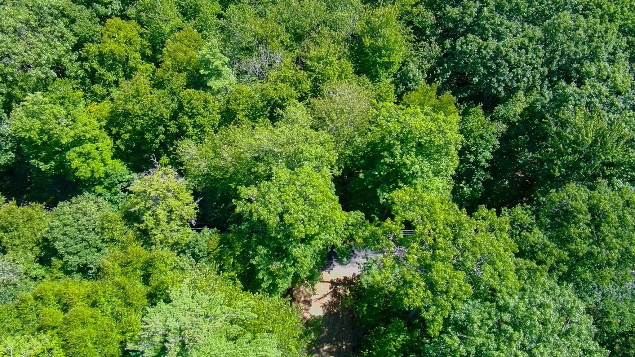 0 Laurel Lake Rd Property Photo 8
