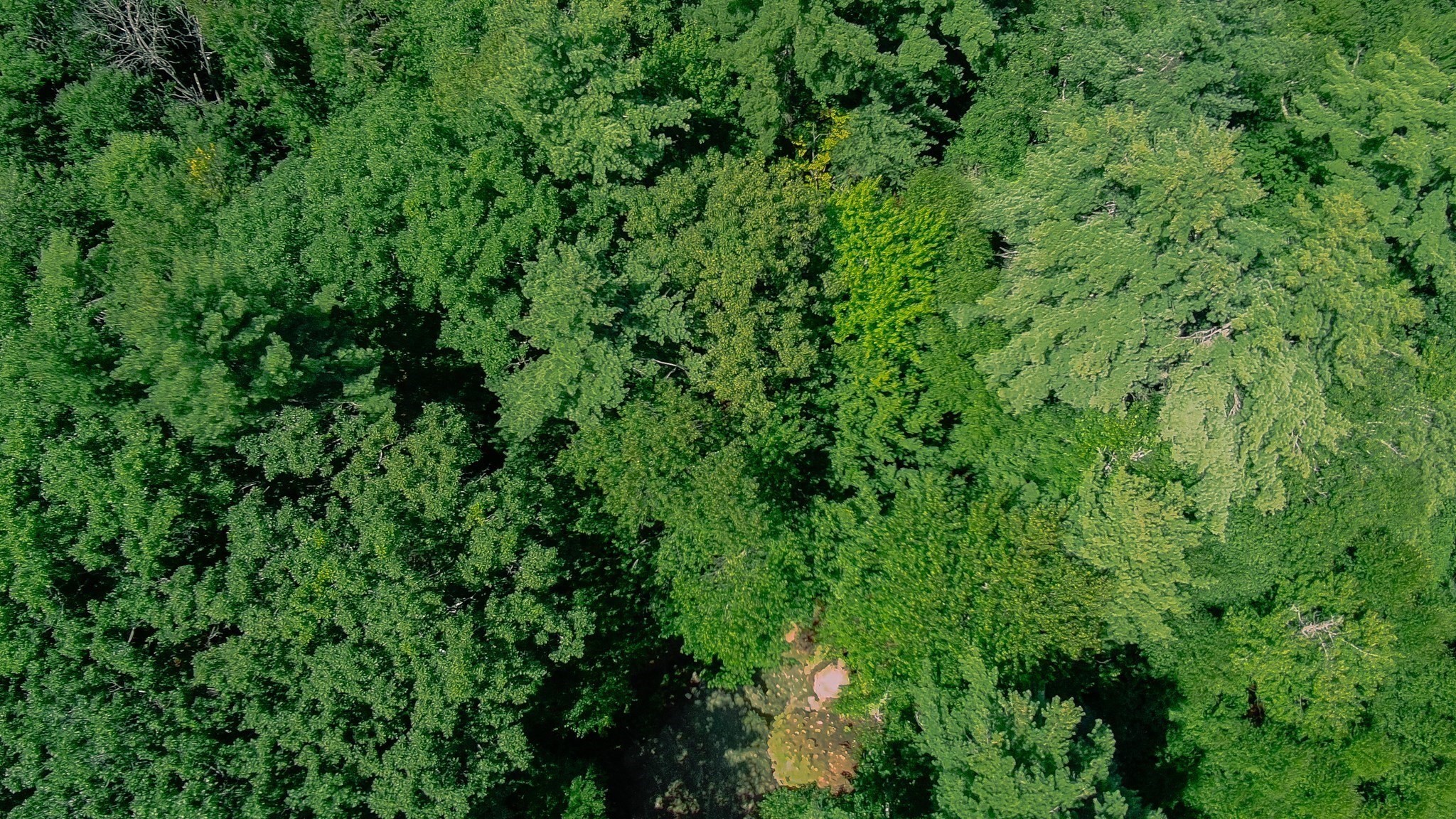 0 Laurel Lake Rd Property Photo 9