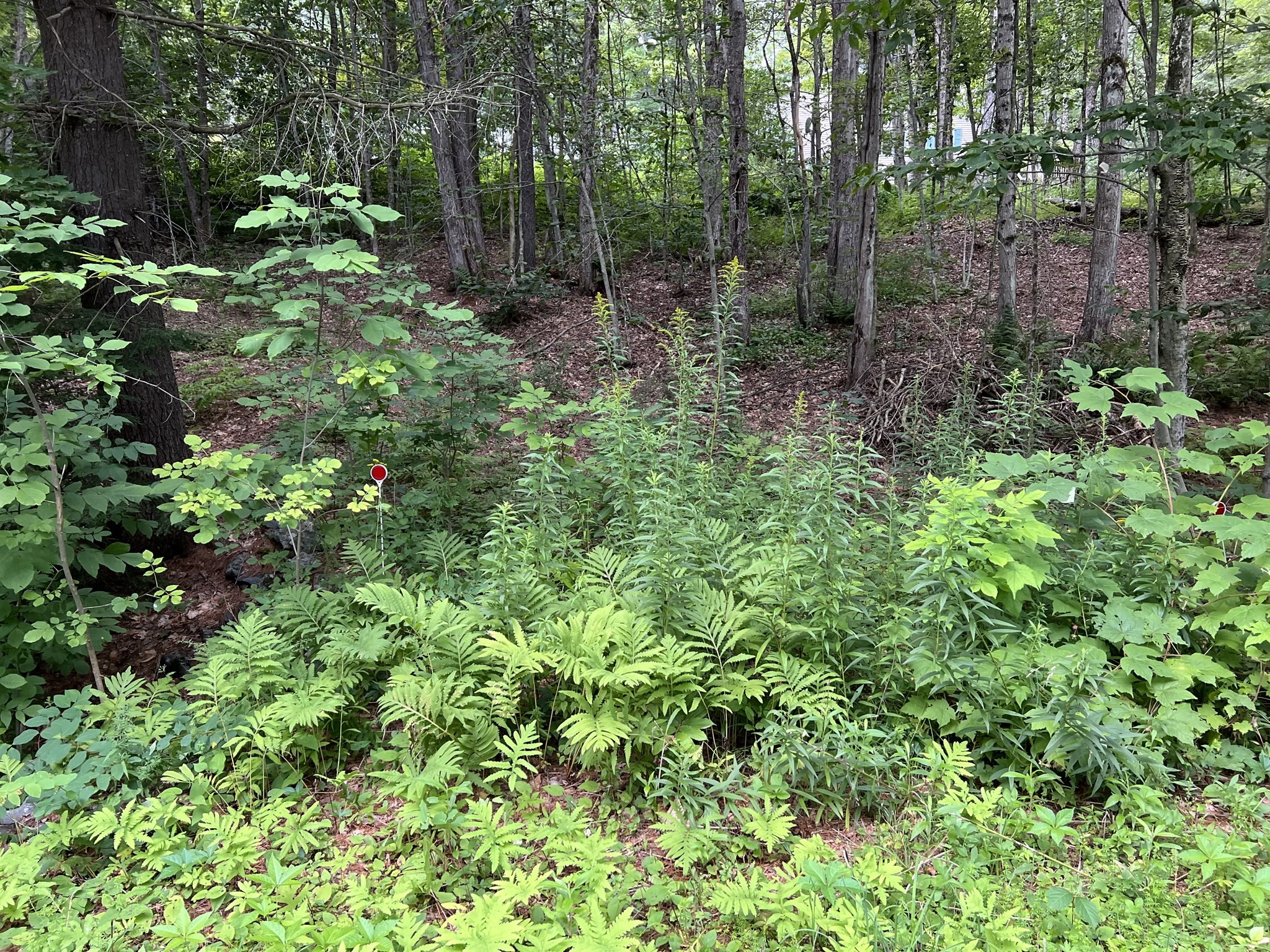 Lot 134 Shaw Rd Property Photo 2