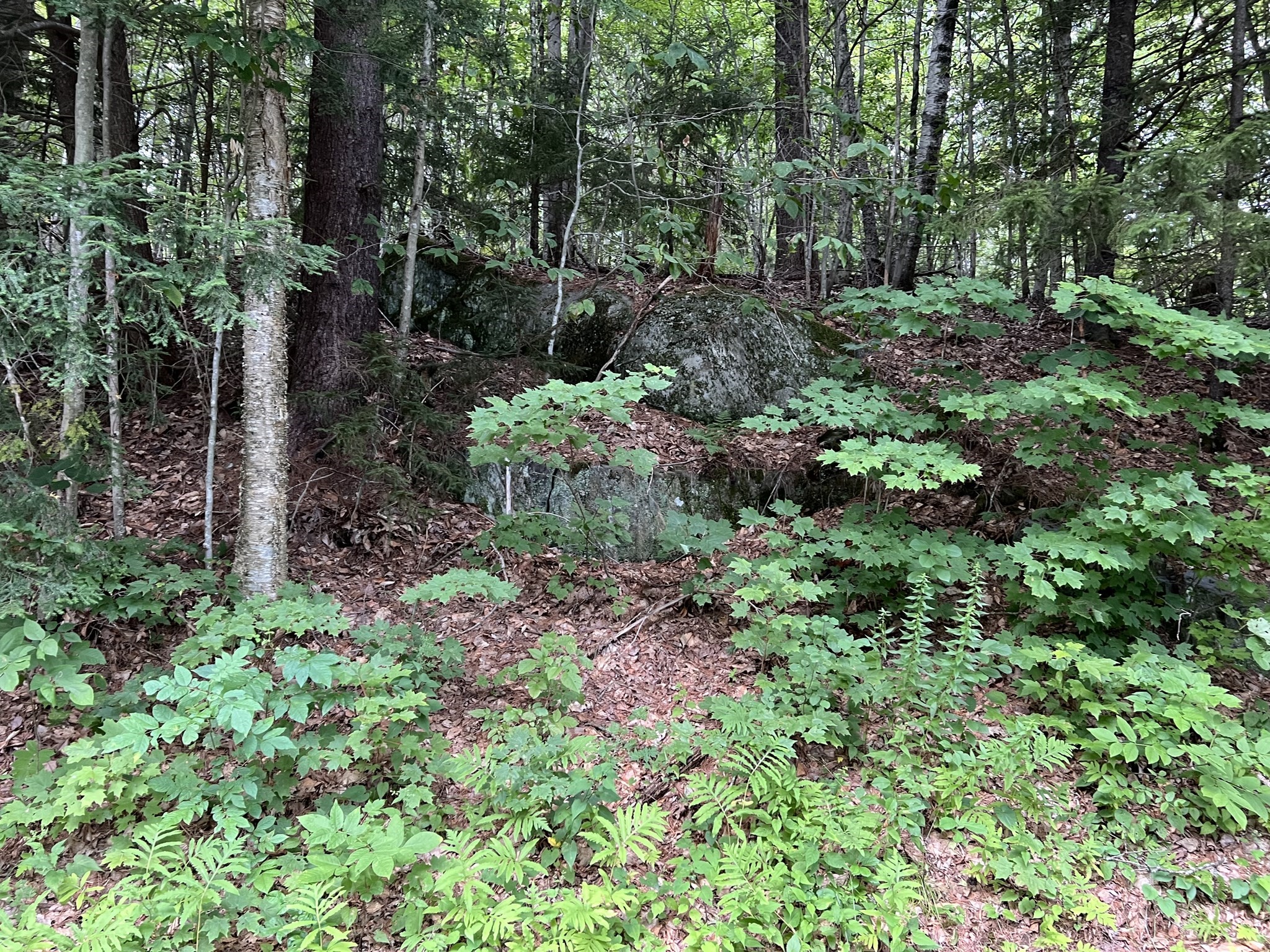 Lot 134 Shaw Rd Property Photo 4