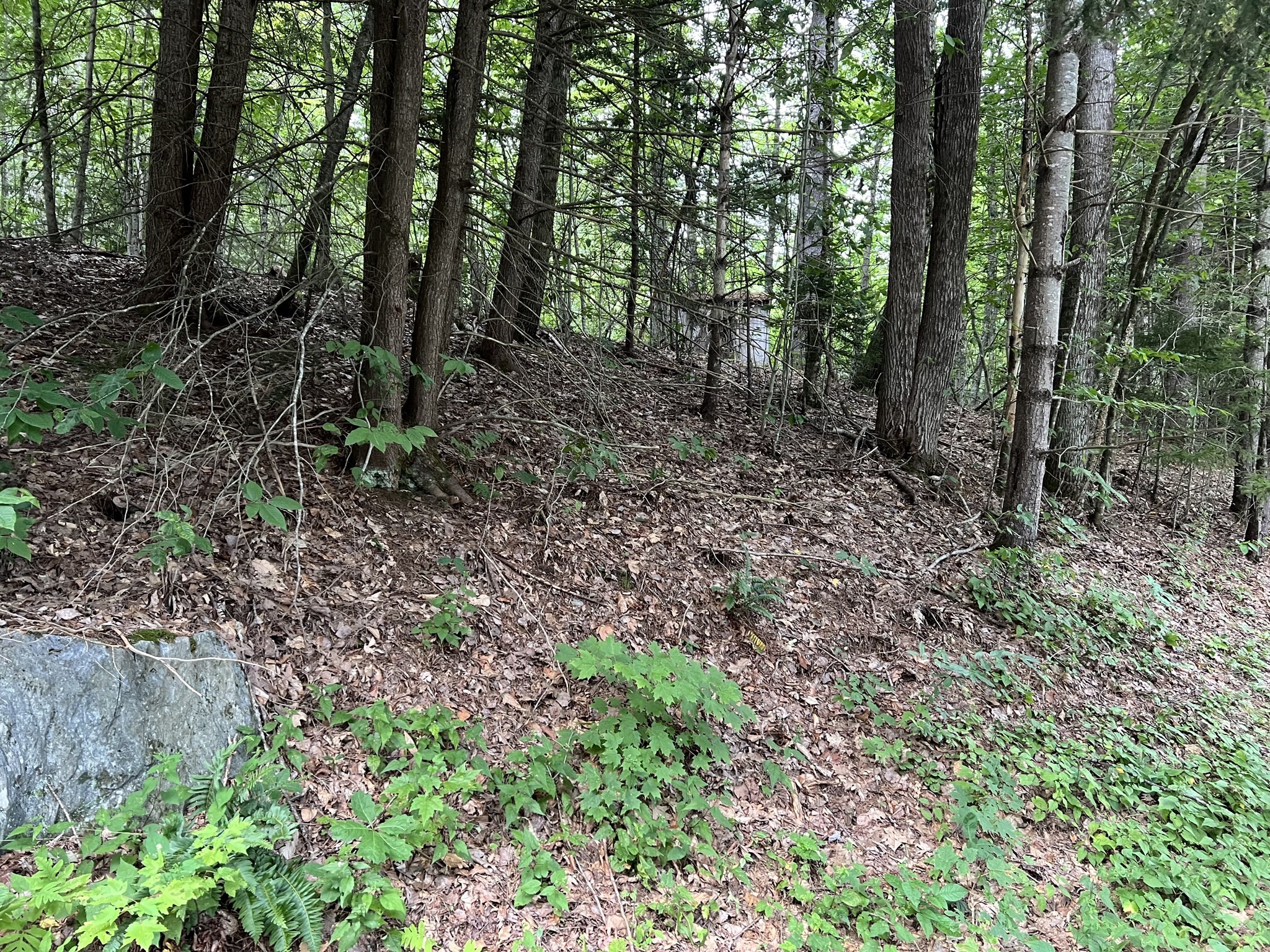 Lot 134 Shaw Rd Property Photo 5