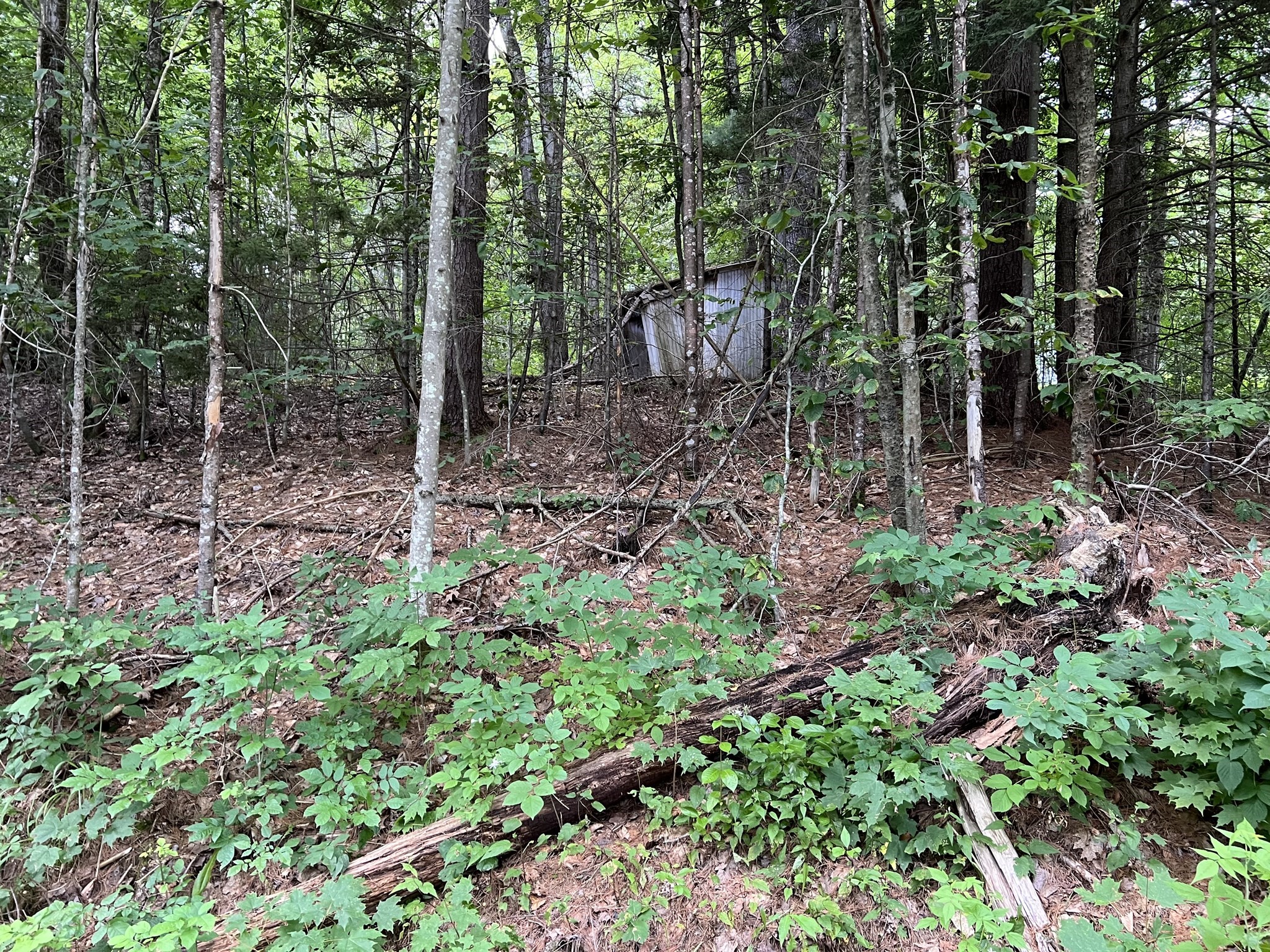 Lot 134 Shaw Rd Property Photo 6