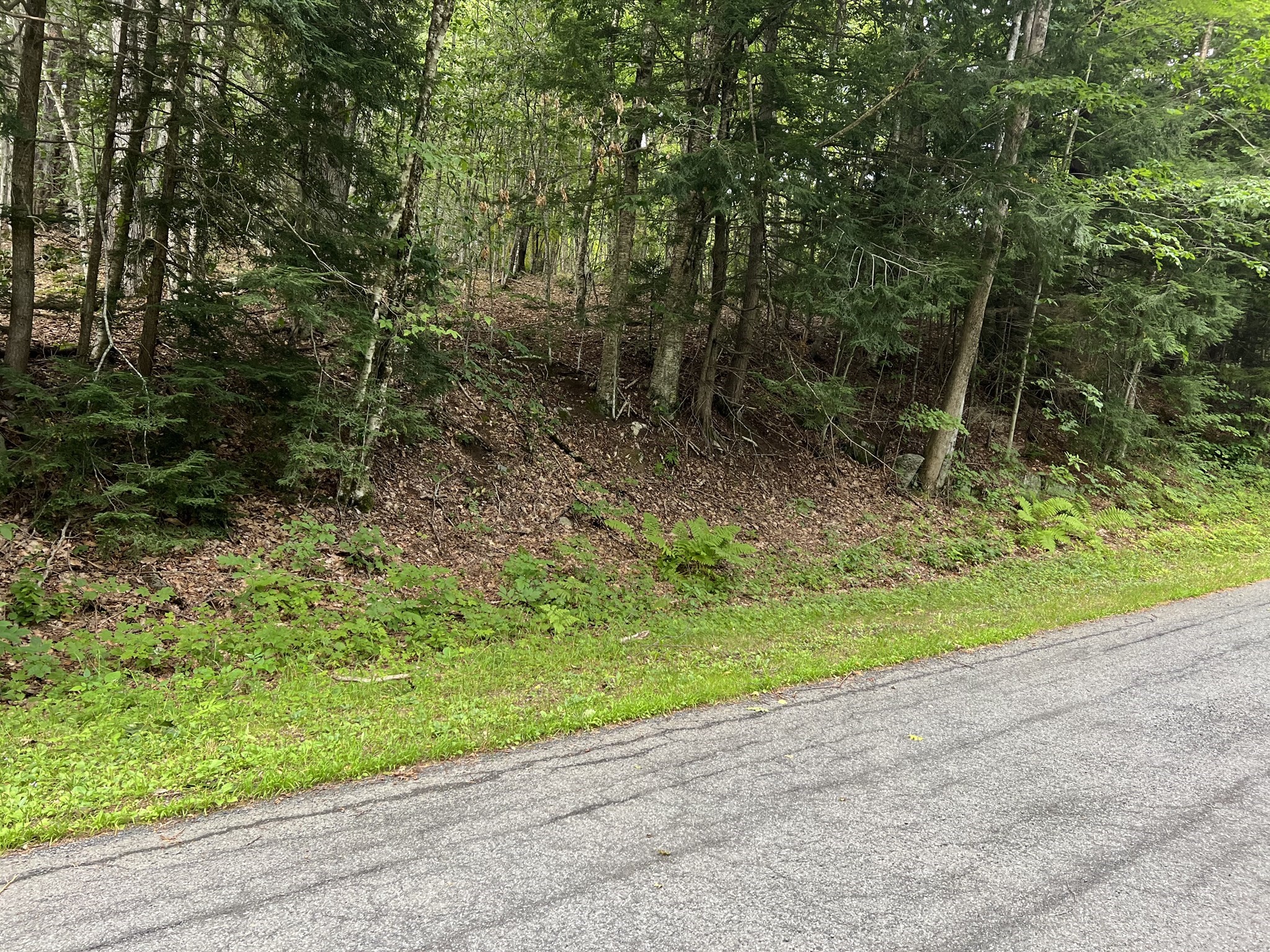 Lot 134 Shaw Rd Property Photo 7
