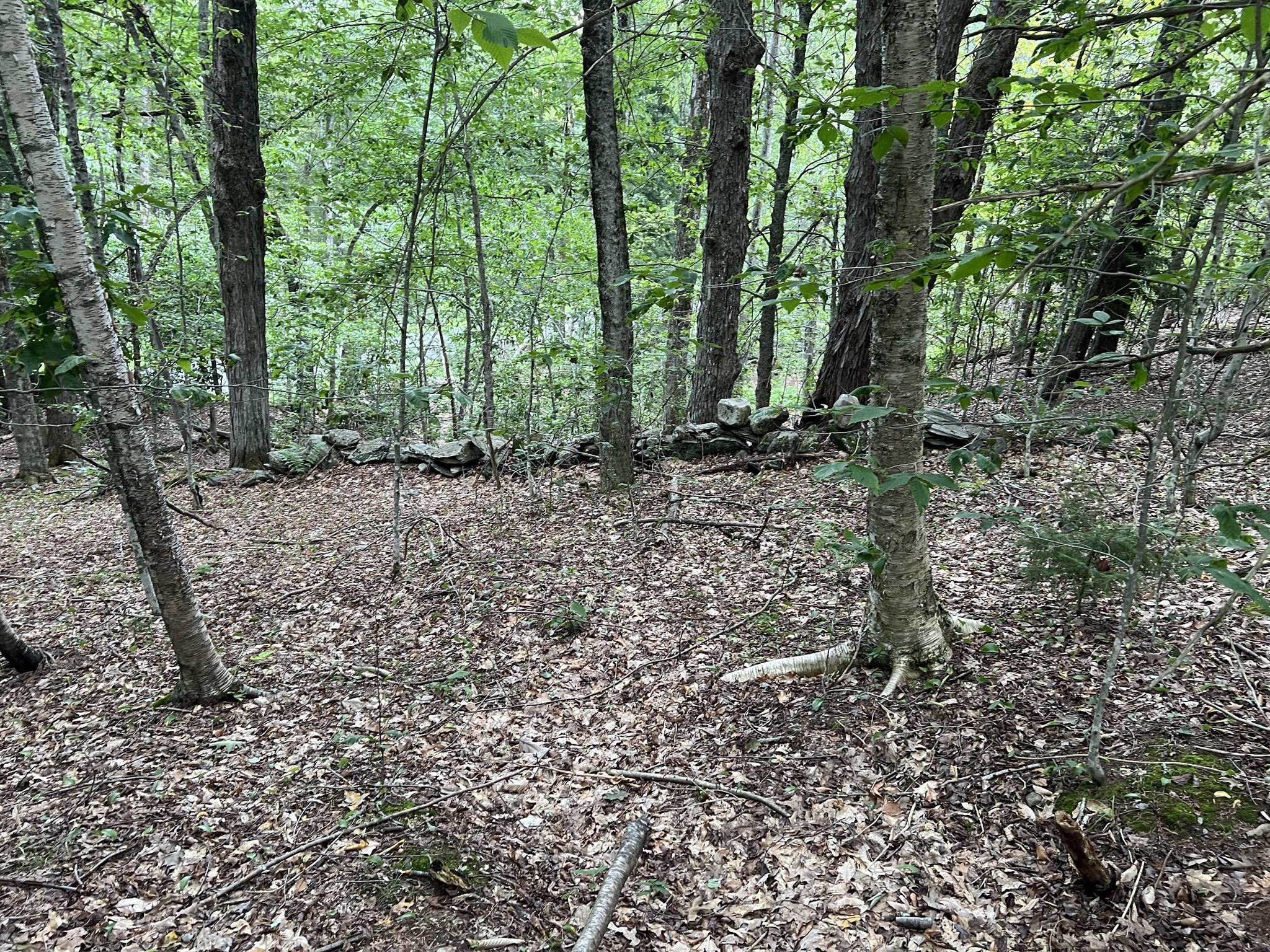 Lot 134 Shaw Rd Property Photo 11