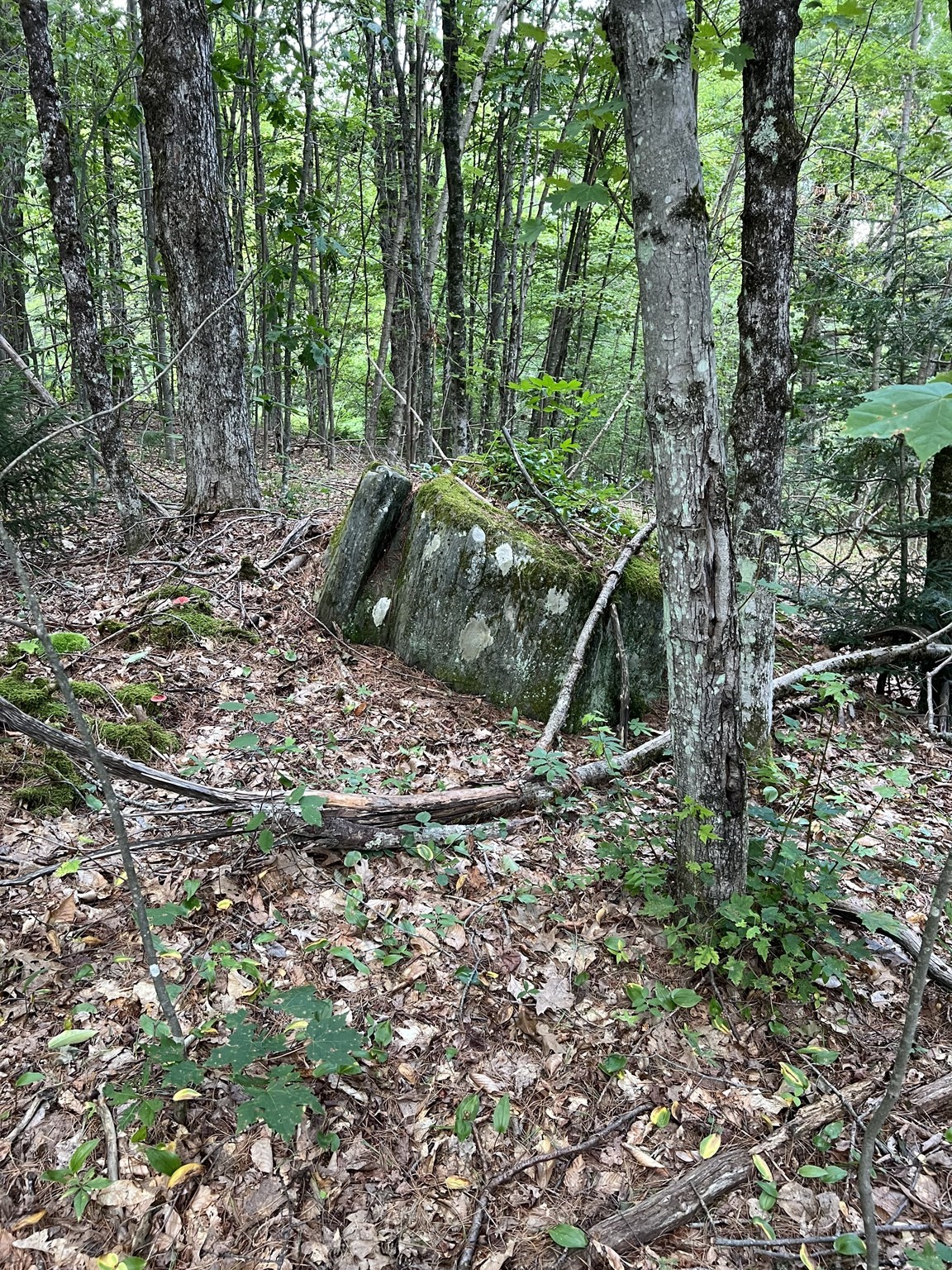 Lot 134 Shaw Rd Property Photo 14