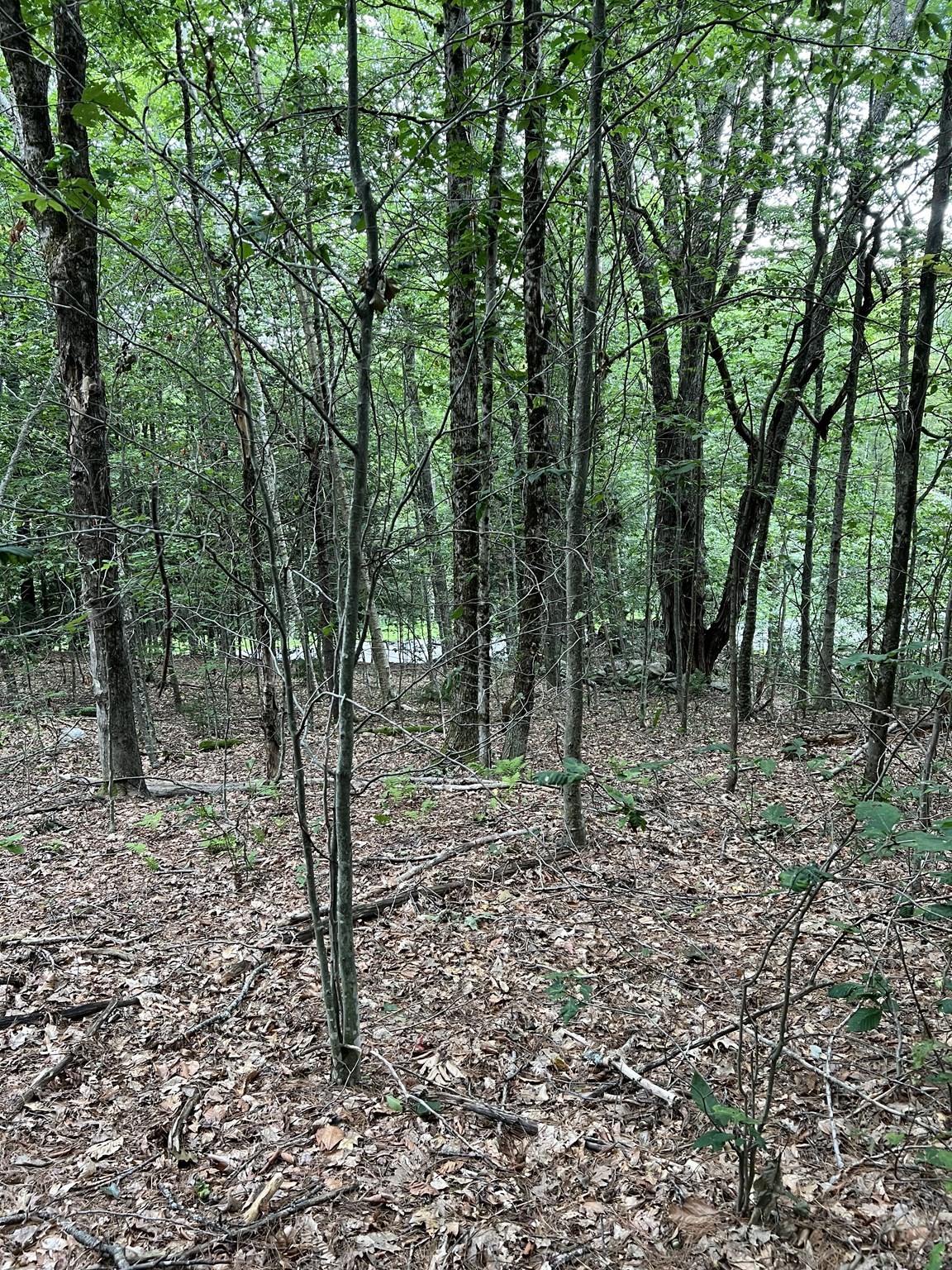 Lot 134 Shaw Rd Property Photo 15