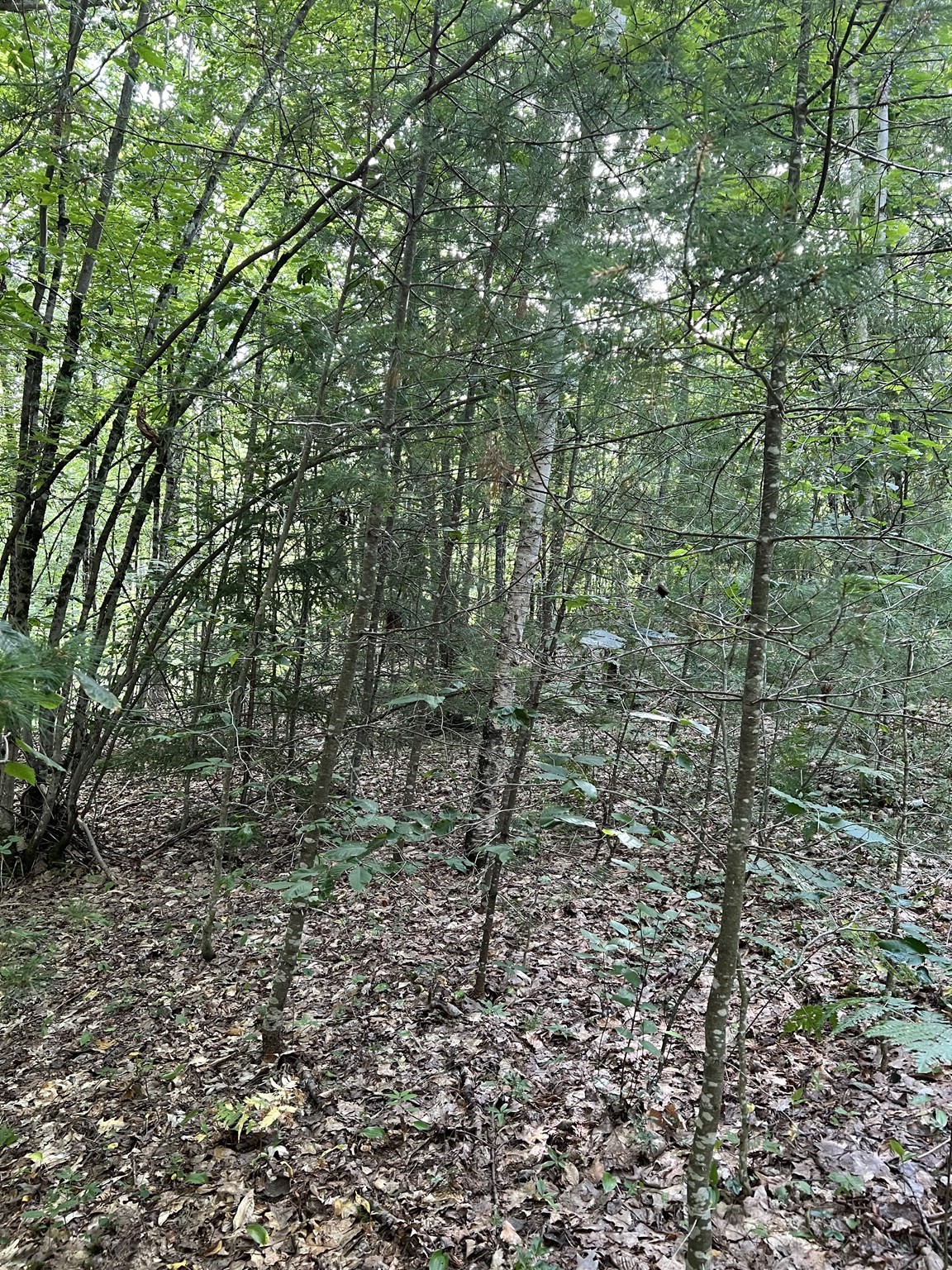 Lot 134 Shaw Rd Property Photo 17