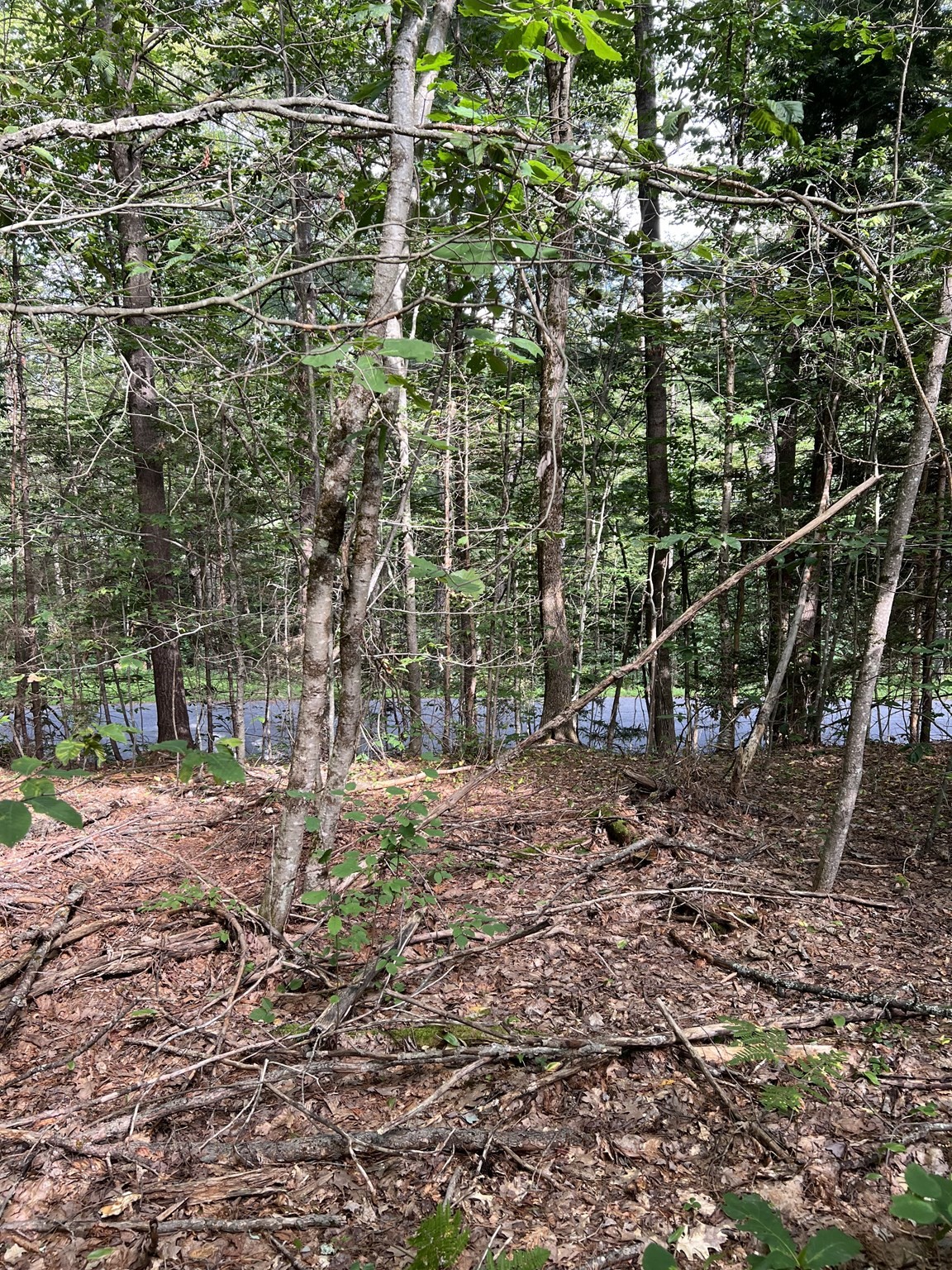 Lot 134 Shaw Rd Property Photo 18