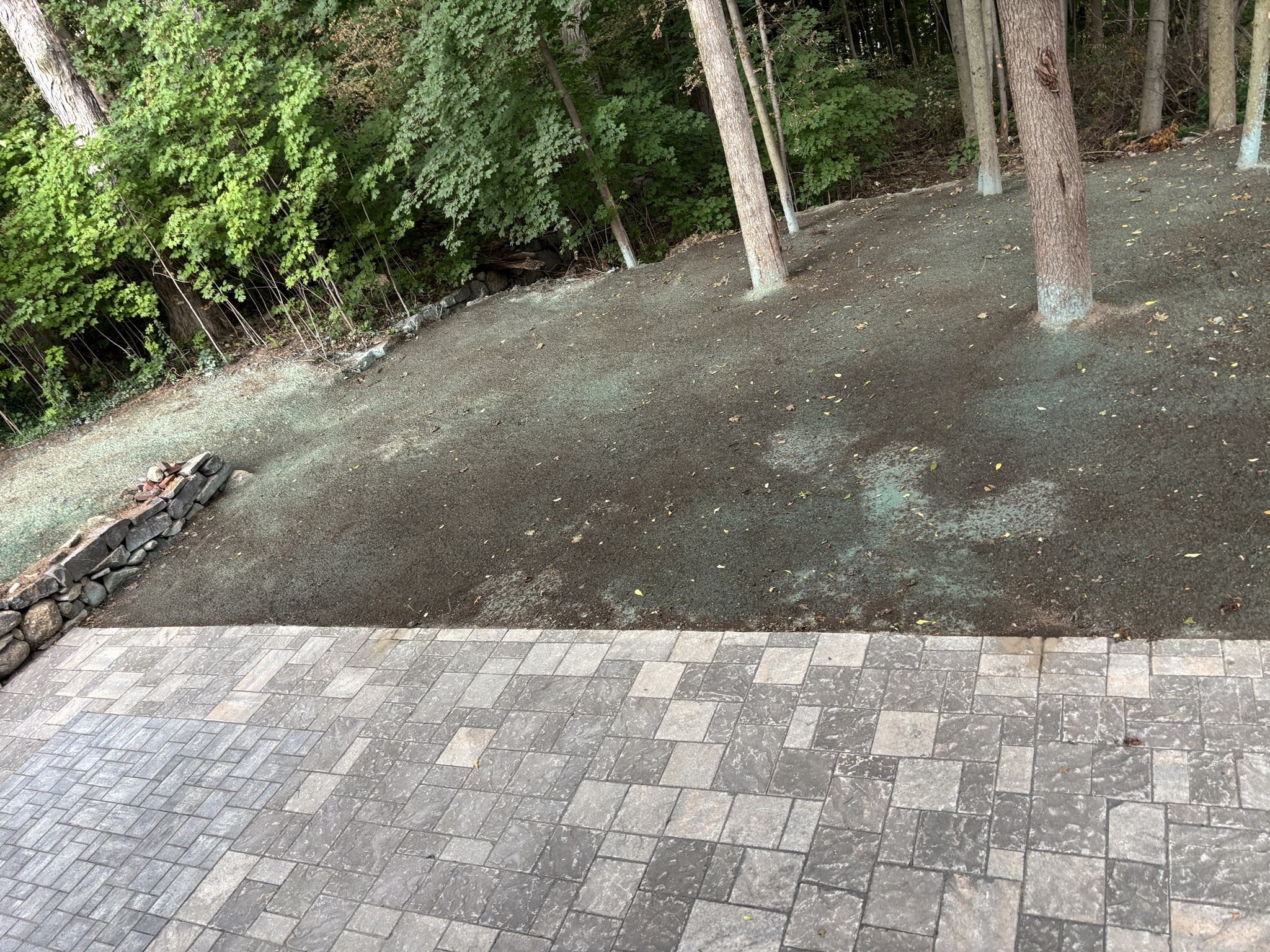 51 Grove Avenue Property Photo 9