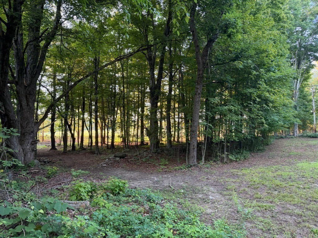 86 W Princeton Road Property Photo 14
