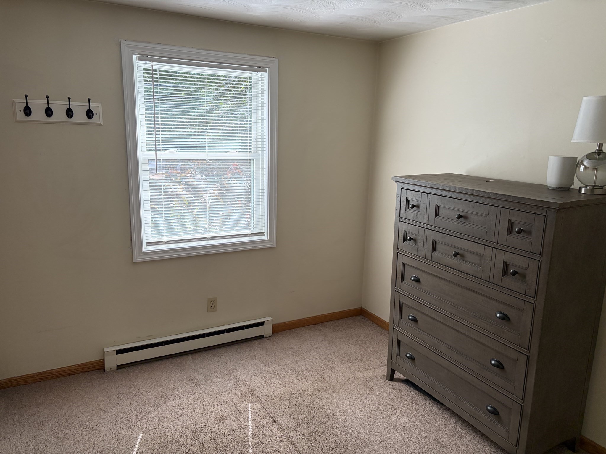 370 Forest Street Property Photo 21