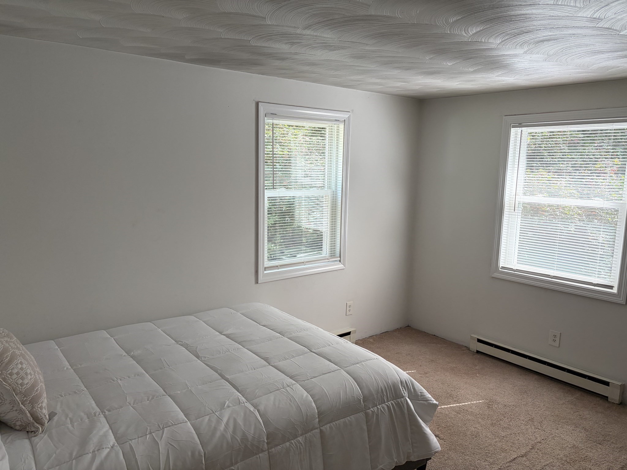 370 Forest Street Property Photo 22