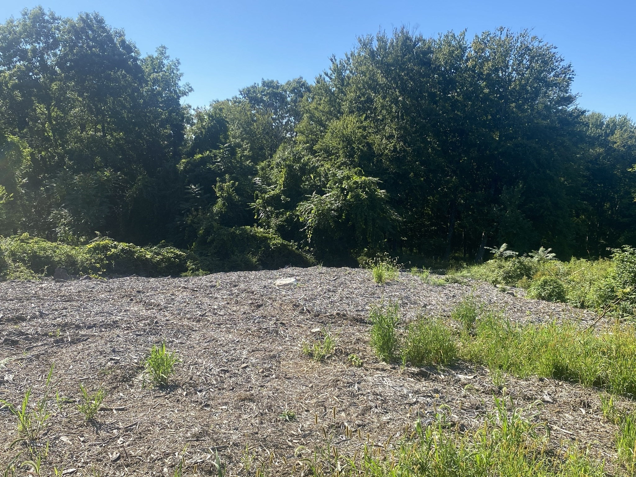Lot 8h South Ridge Rd Property Photo 6