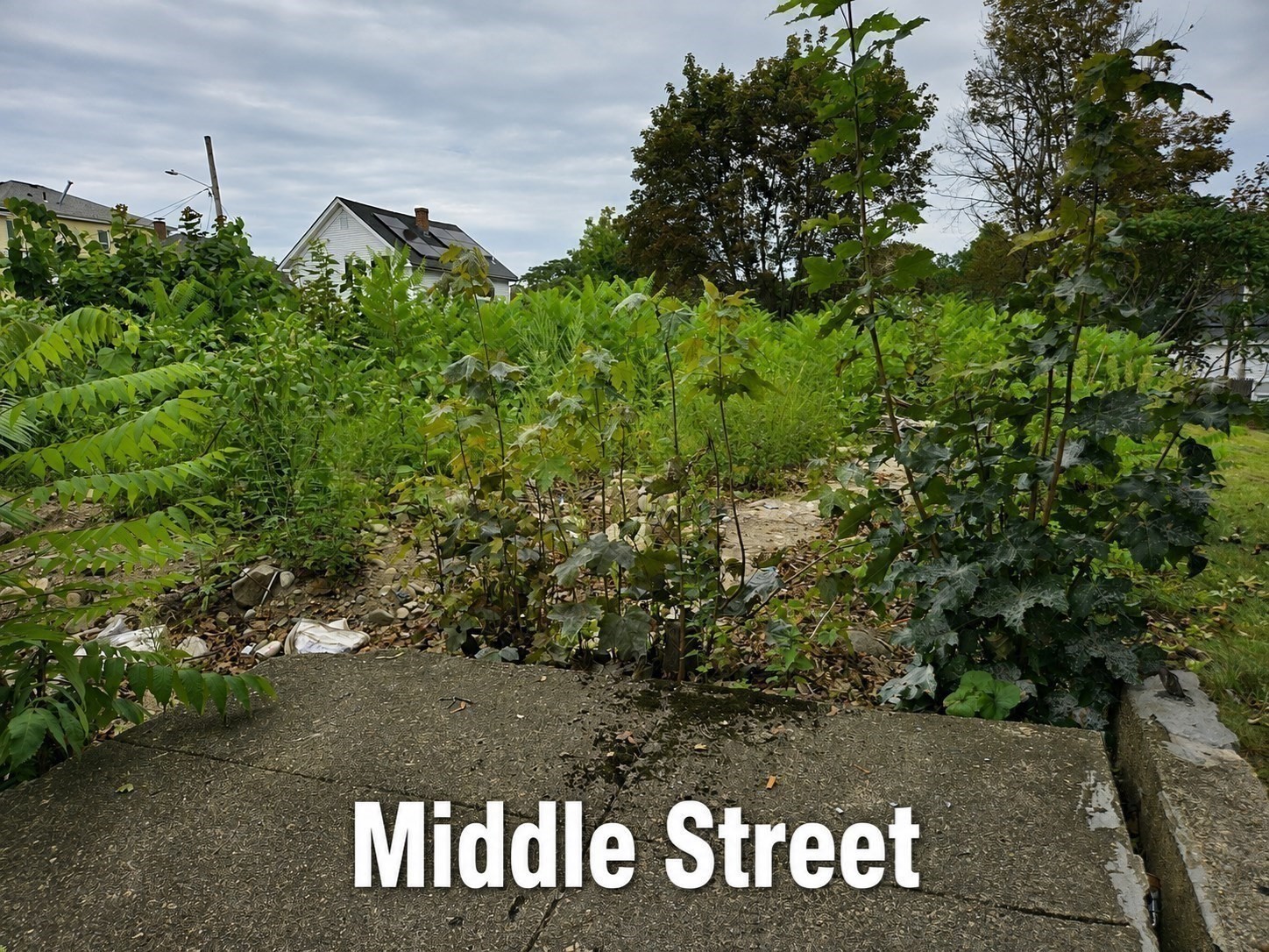 68 Middle Street Property Photo 3
