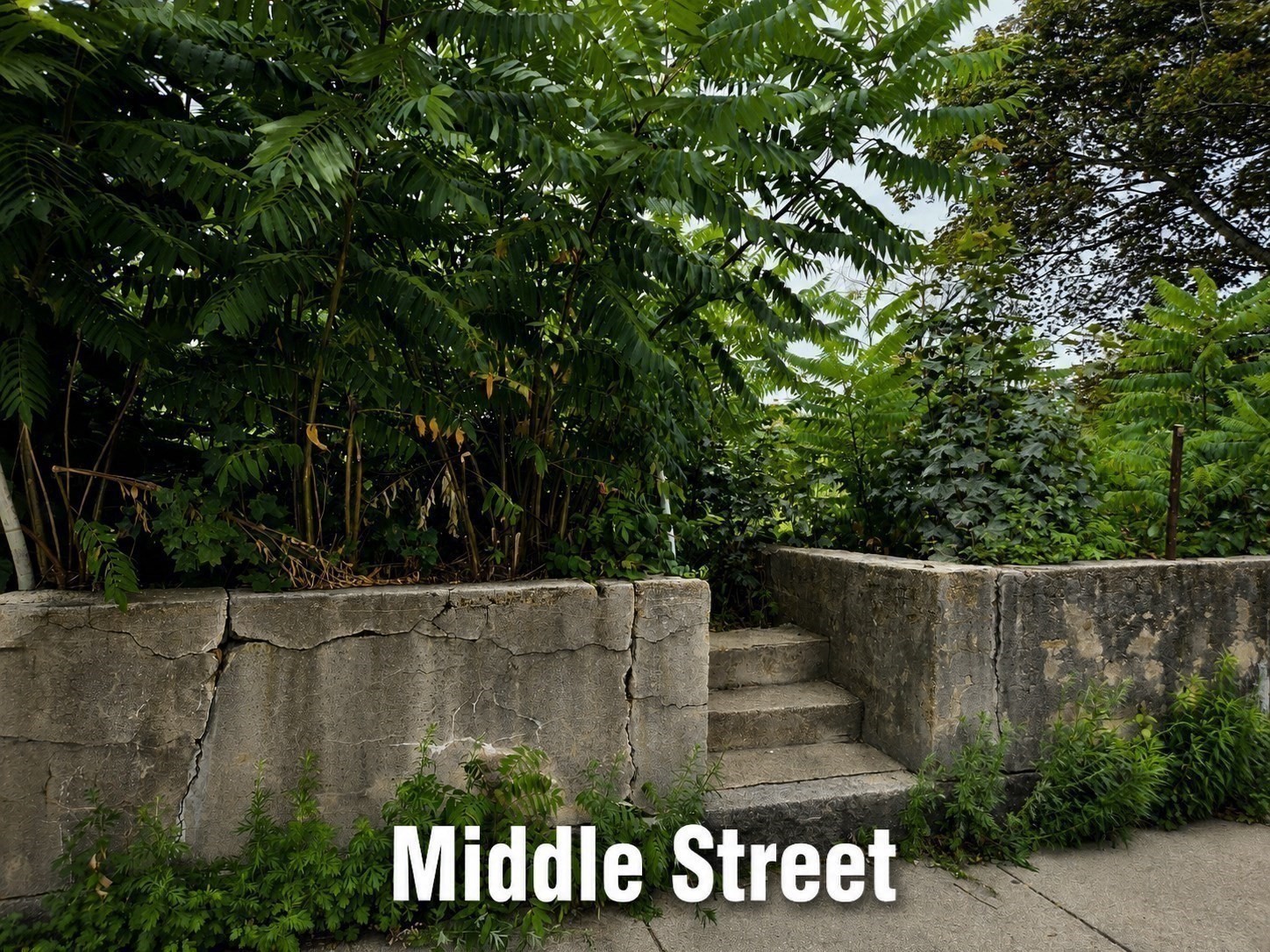 68 Middle Street Property Photo 4